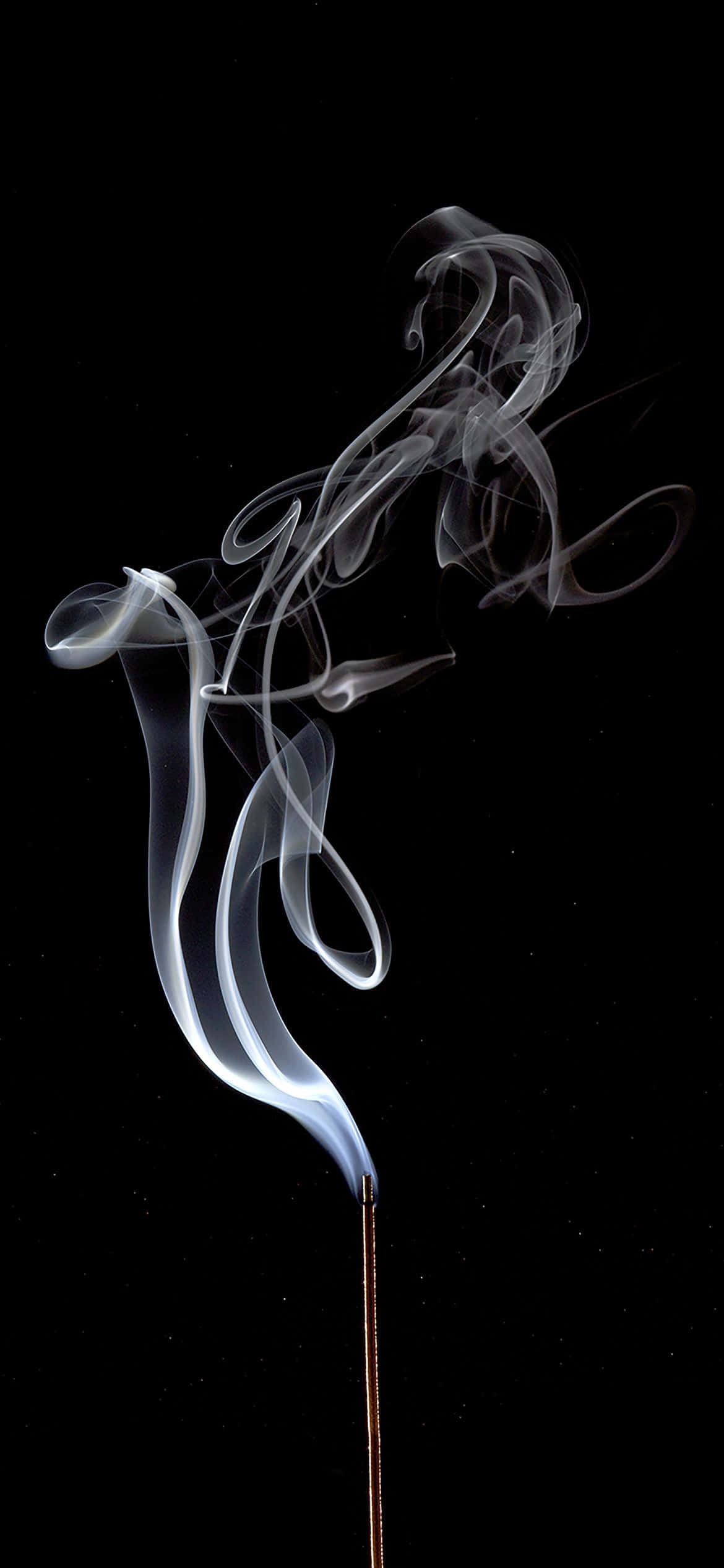 1170x2532 Beyaz Duman Yaratıcı Çekim Duvar Kağıdı