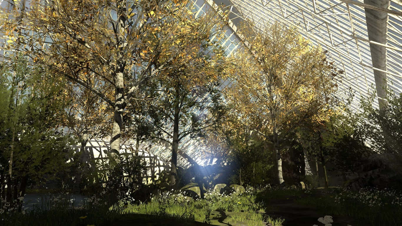 1366x768 The Talos Principle Gehenna Ormanı Arka Planı Duvar Kağıdı