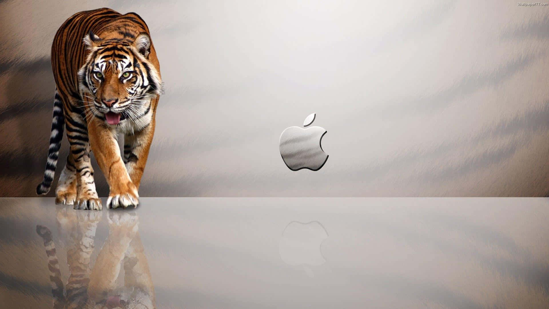 1920x1080 Apple Duvar Kağıdı Kaplan Çizgileri Duvar Kağıdı