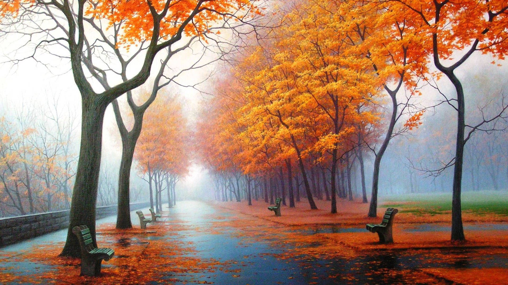 1920x1080 Full HD Doğa Turuncu Yapraklar Ağaçlar Duvar Kağıdı