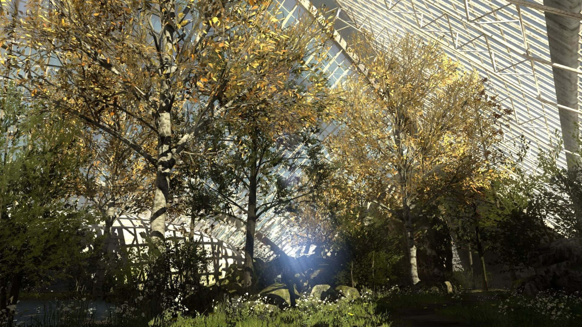 1920x1080 The Talos Principle Yemyeşil Orman Arka Planı Duvar Kağıdı