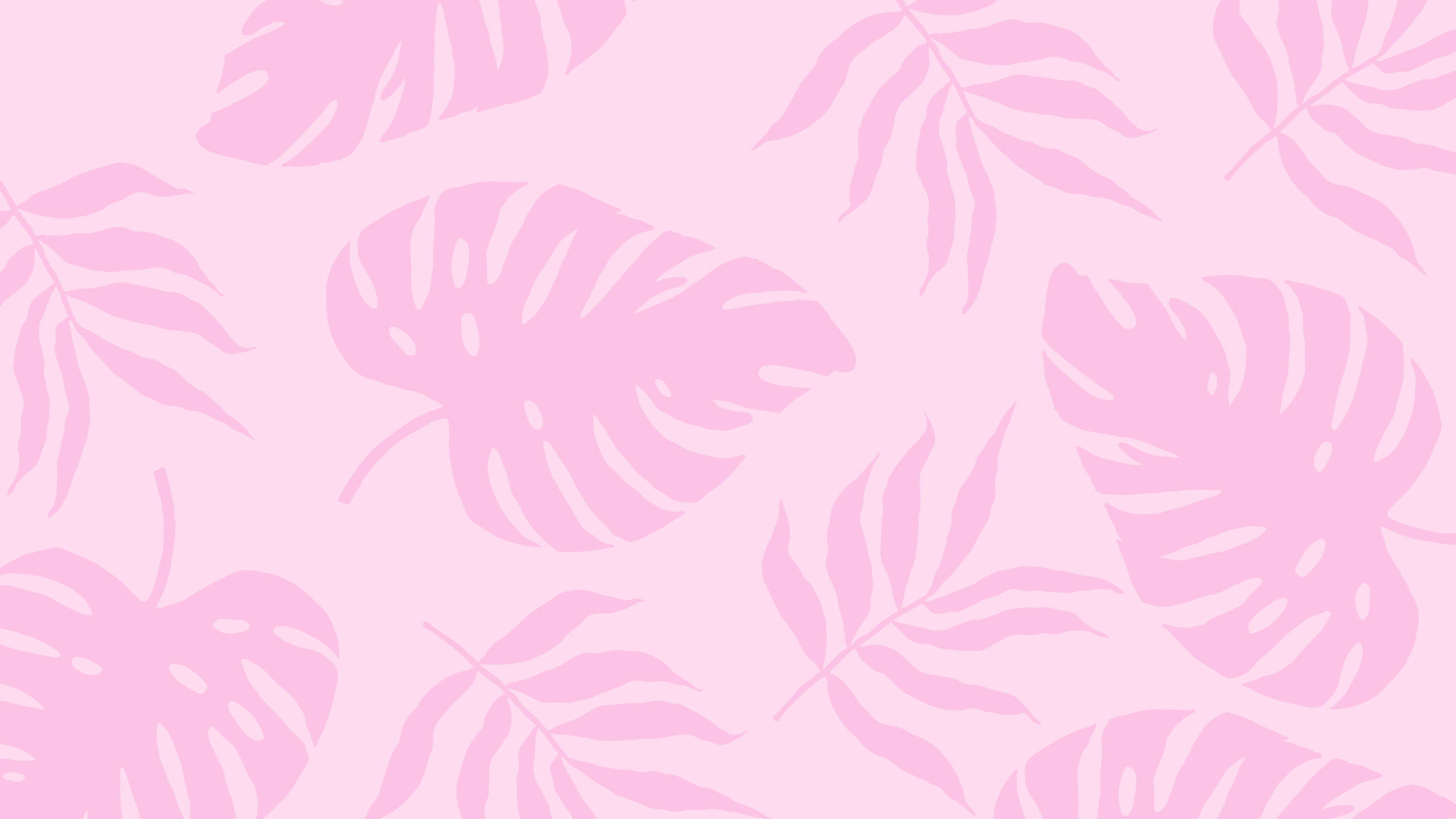 2560x1440 Yaz Bitkileri Pembe Estetik Duvar Kağıdı