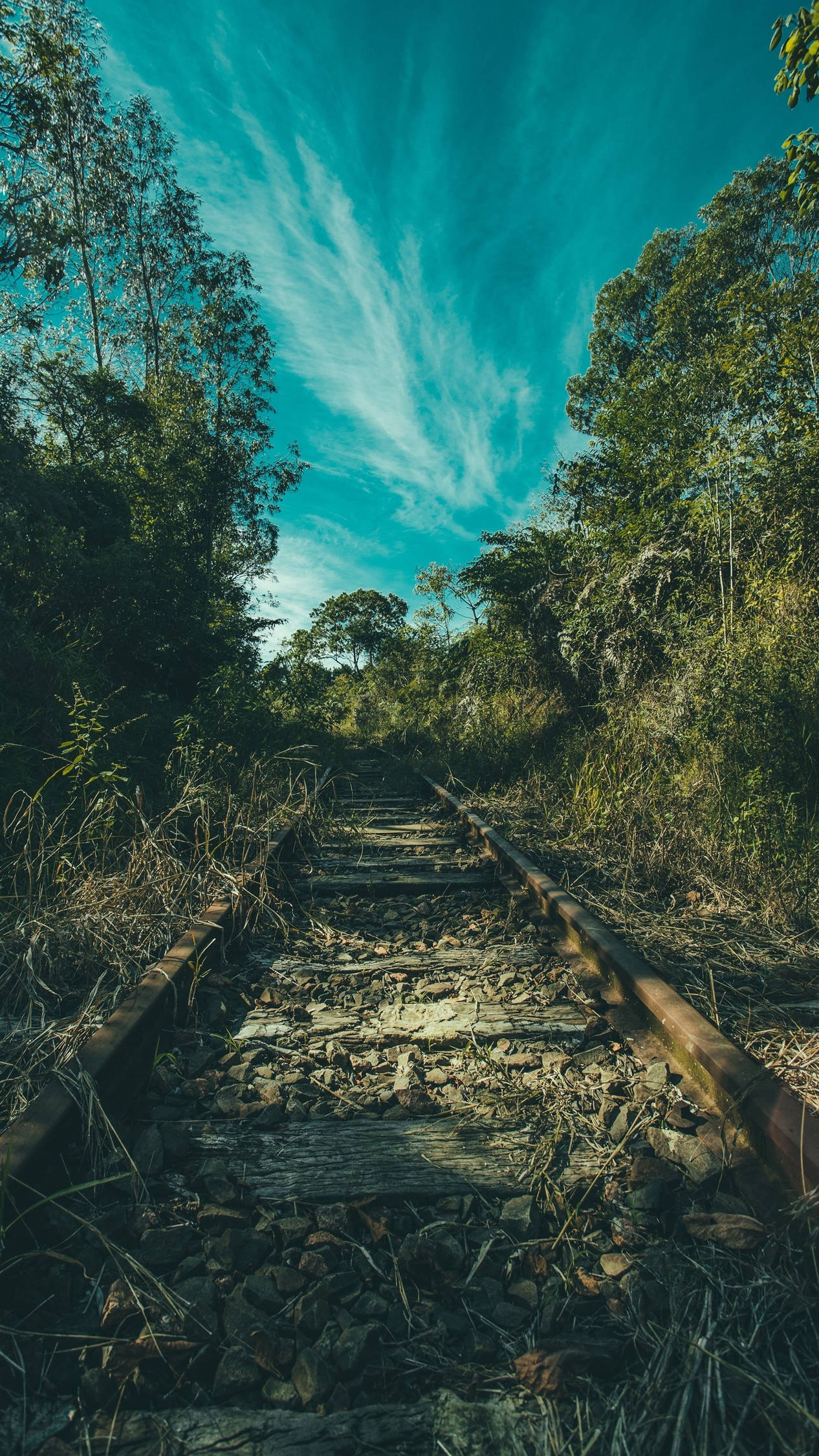 4K Android Eski Tren Rayı Duvar Kağıdı