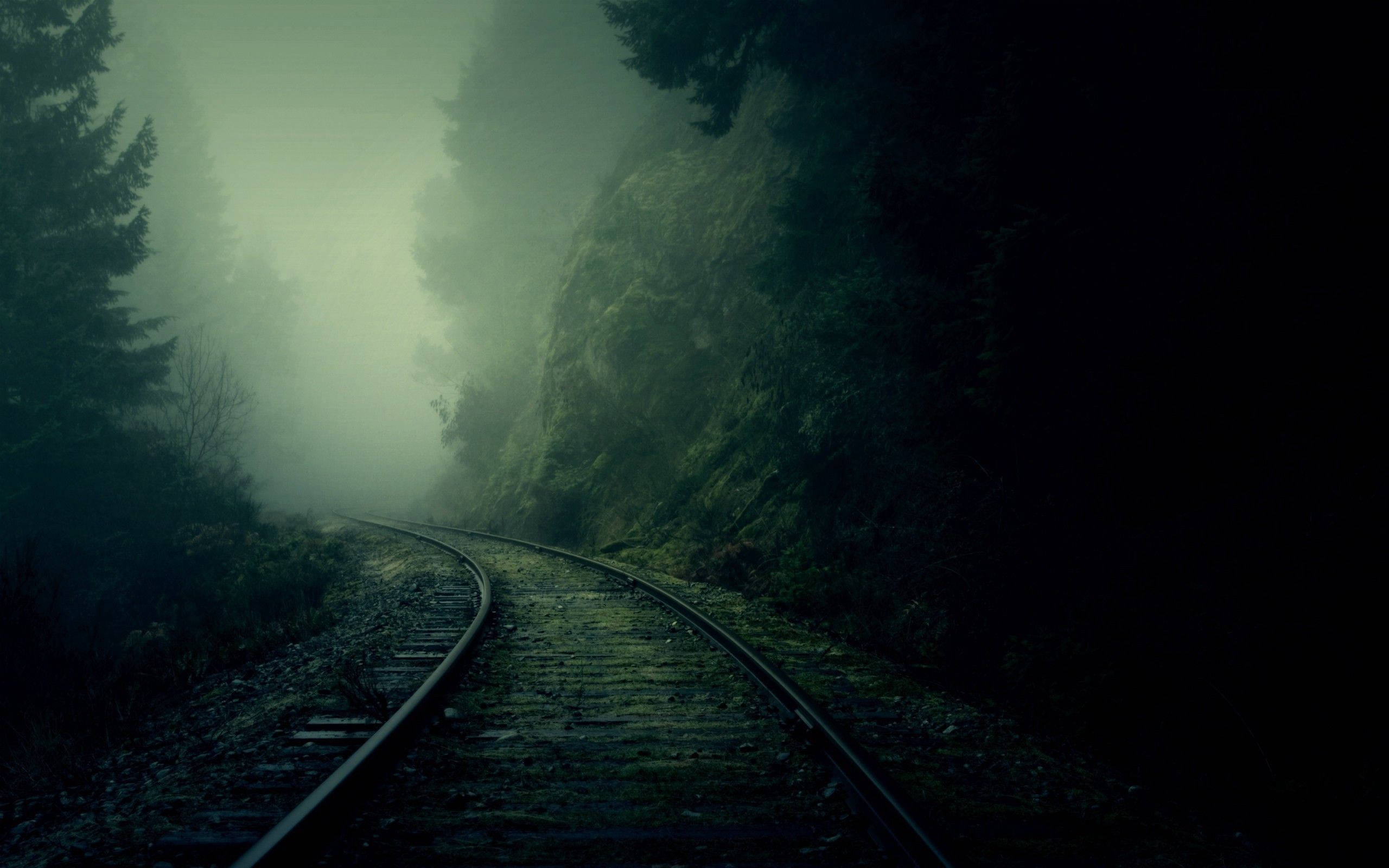 4K Doğa Tren Rayları Duvar Kağıdı