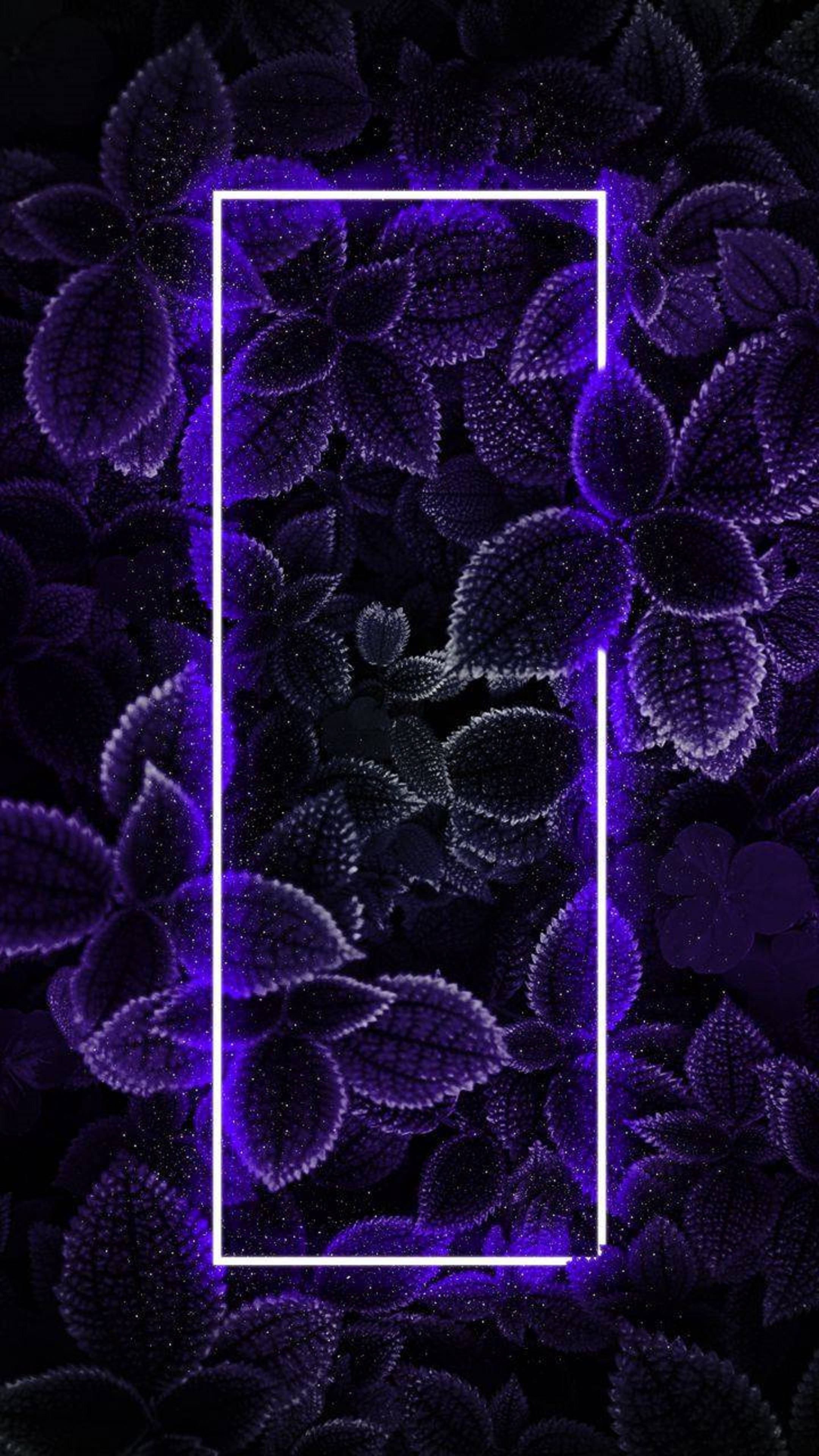 4K Neon iPhone Yapraklar Duvar Kağıdı