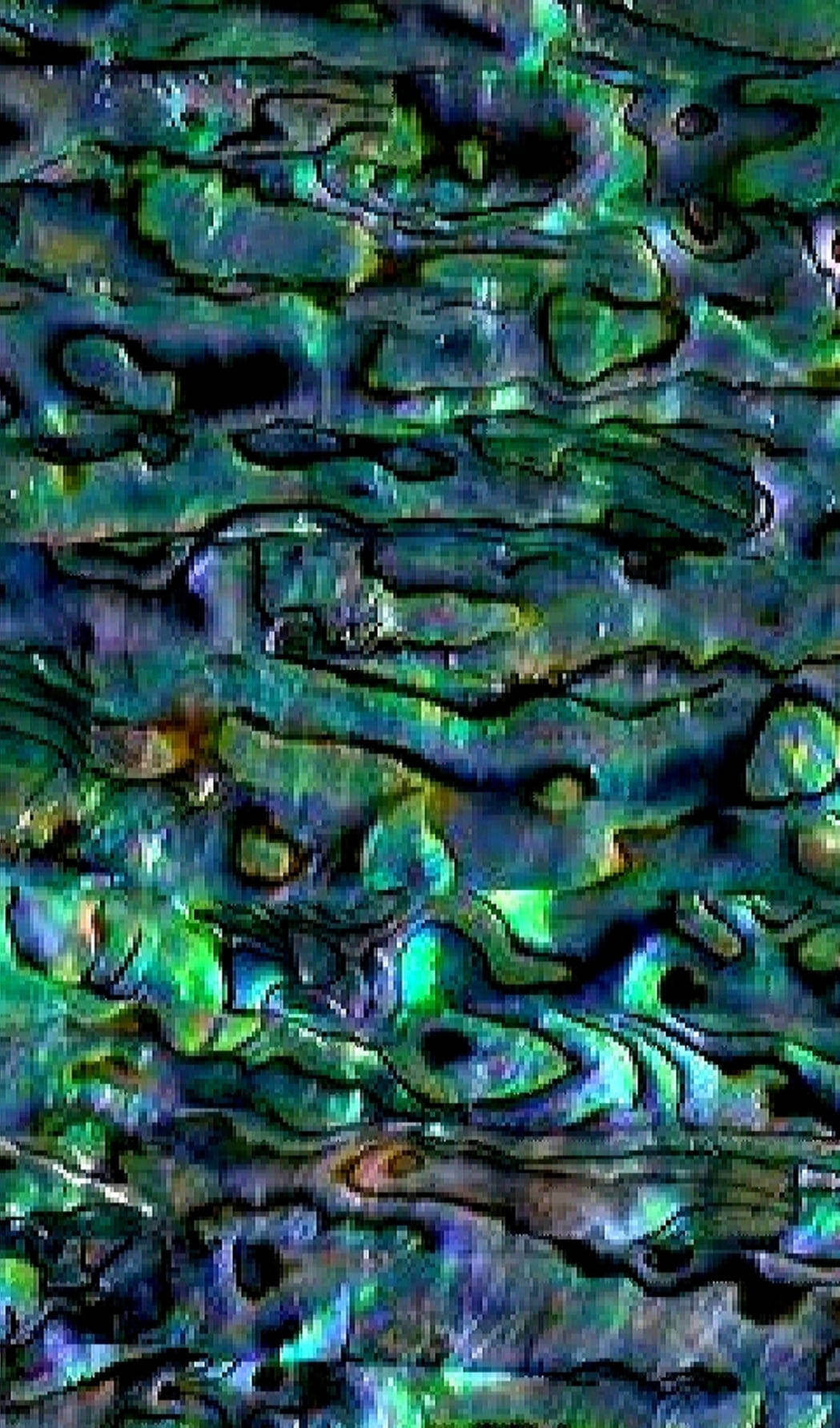 Abalone Renkli Kabuk Dokuları Duvar Kağıdı