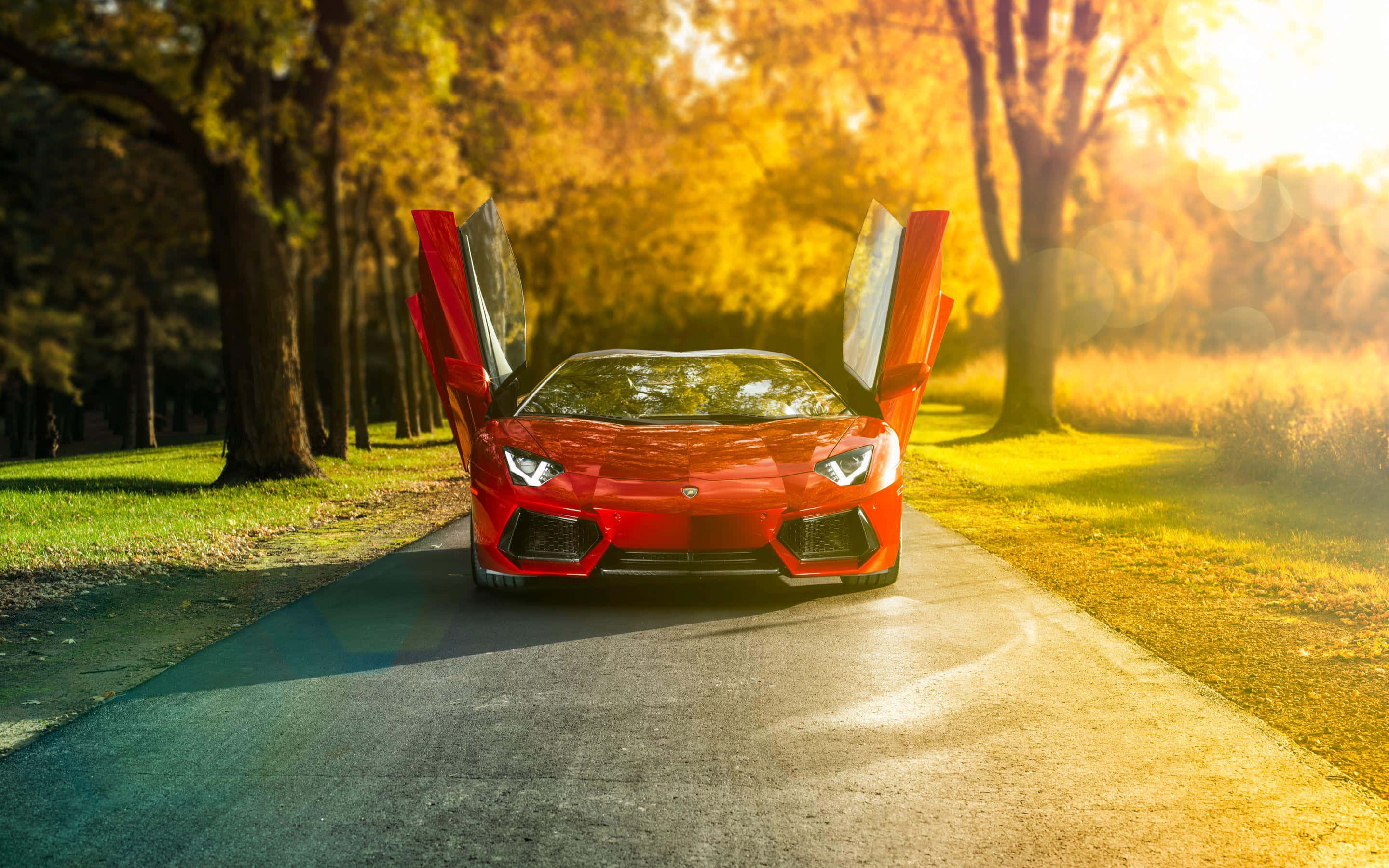 Açık Kapı Lamborghini Aventador Duvar Kağıdı