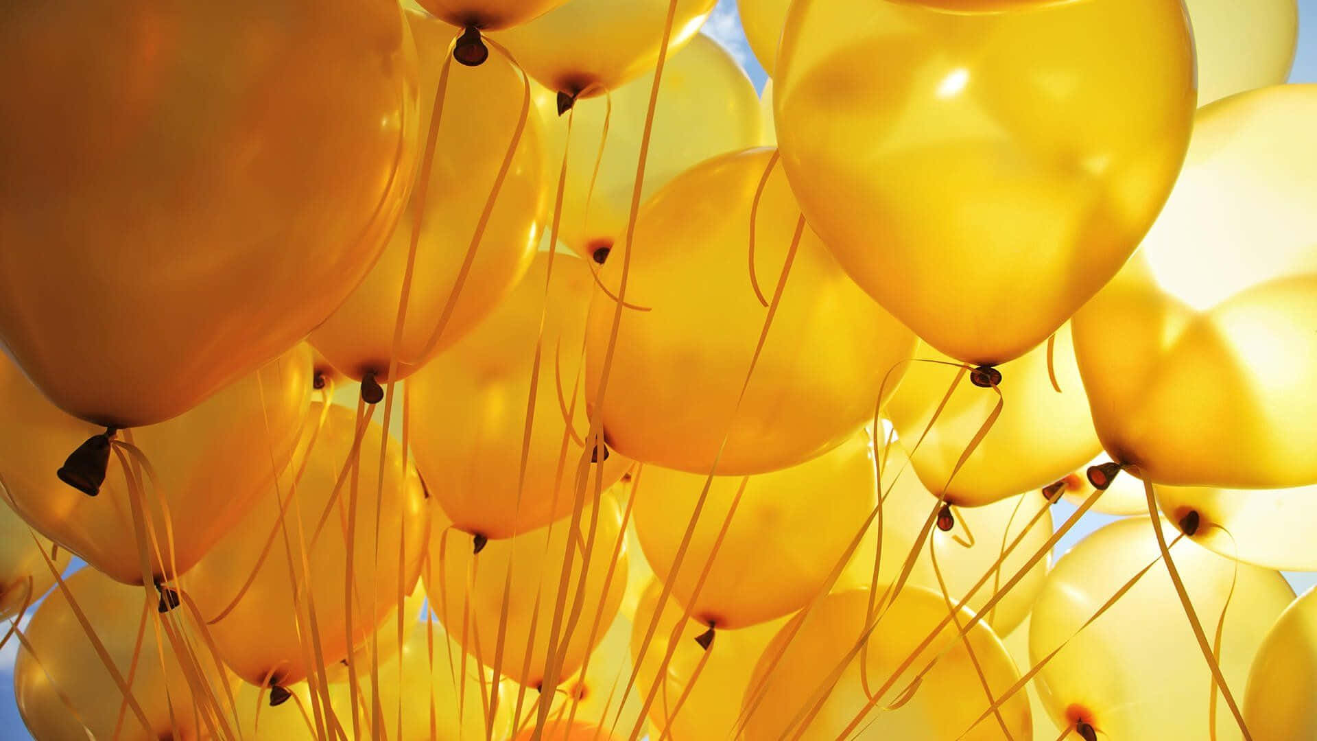 Açık Sarı Balonlar Duvar Kağıdı