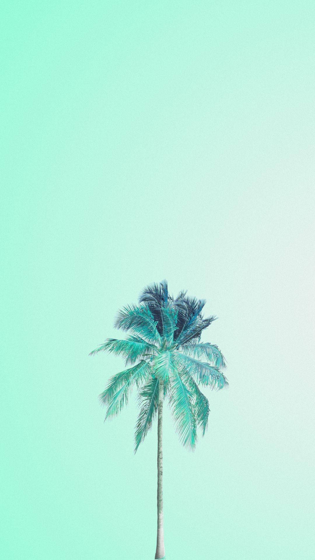 Açık Yeşil Estetik Palmiye Ağacı Duvar Kağıdı