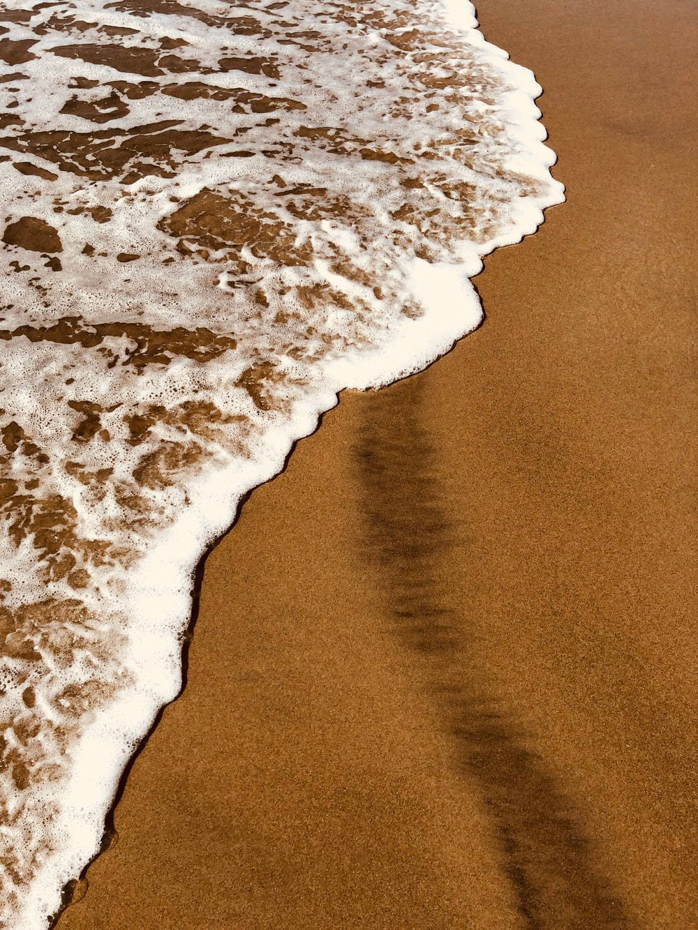 Açık Kahverengi Estetik Deniz Kıyısı Duvar Kağıdı