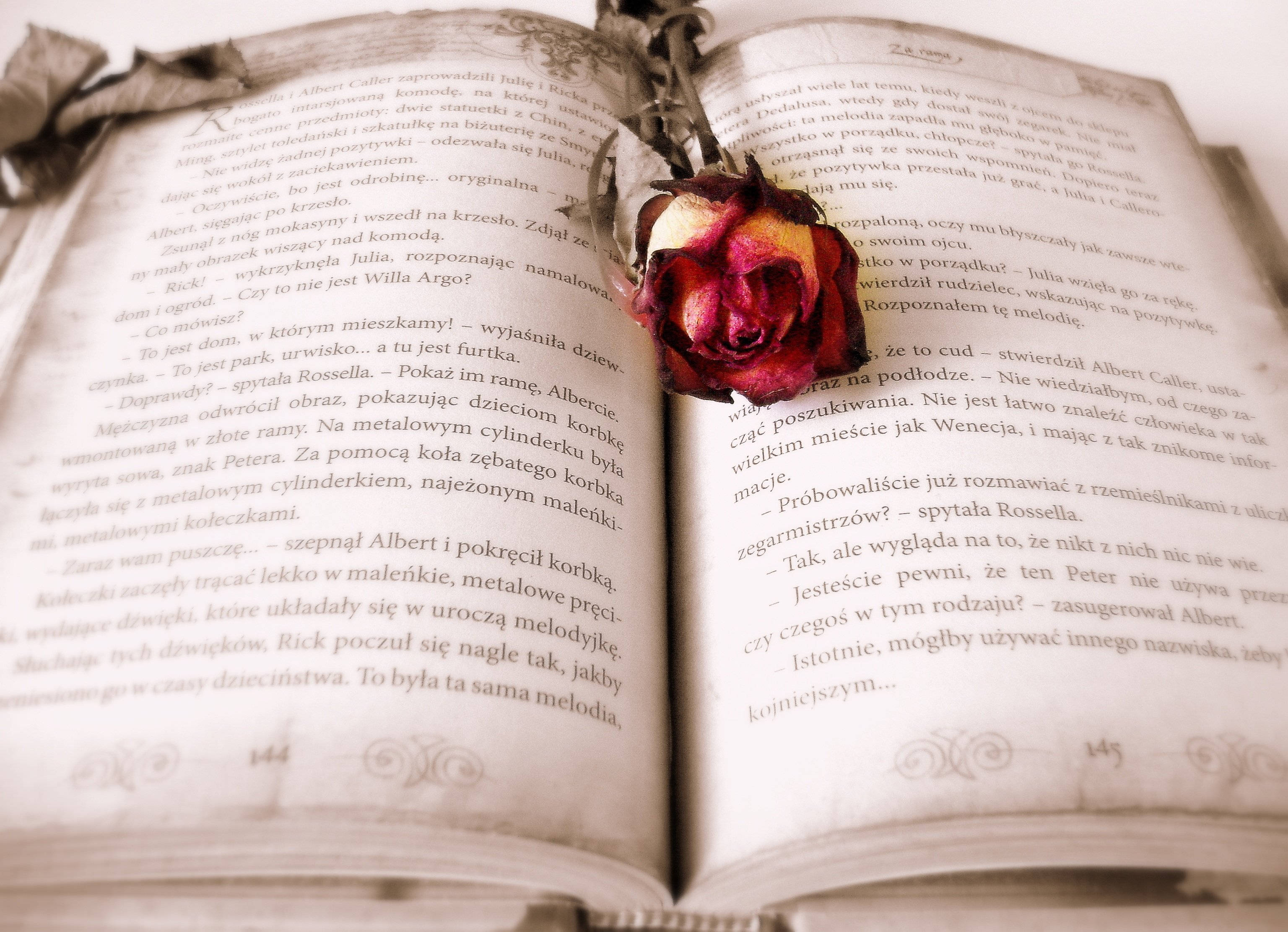 Açık Kitap Kırmızı Gül Estetiği Duvar Kağıdı
