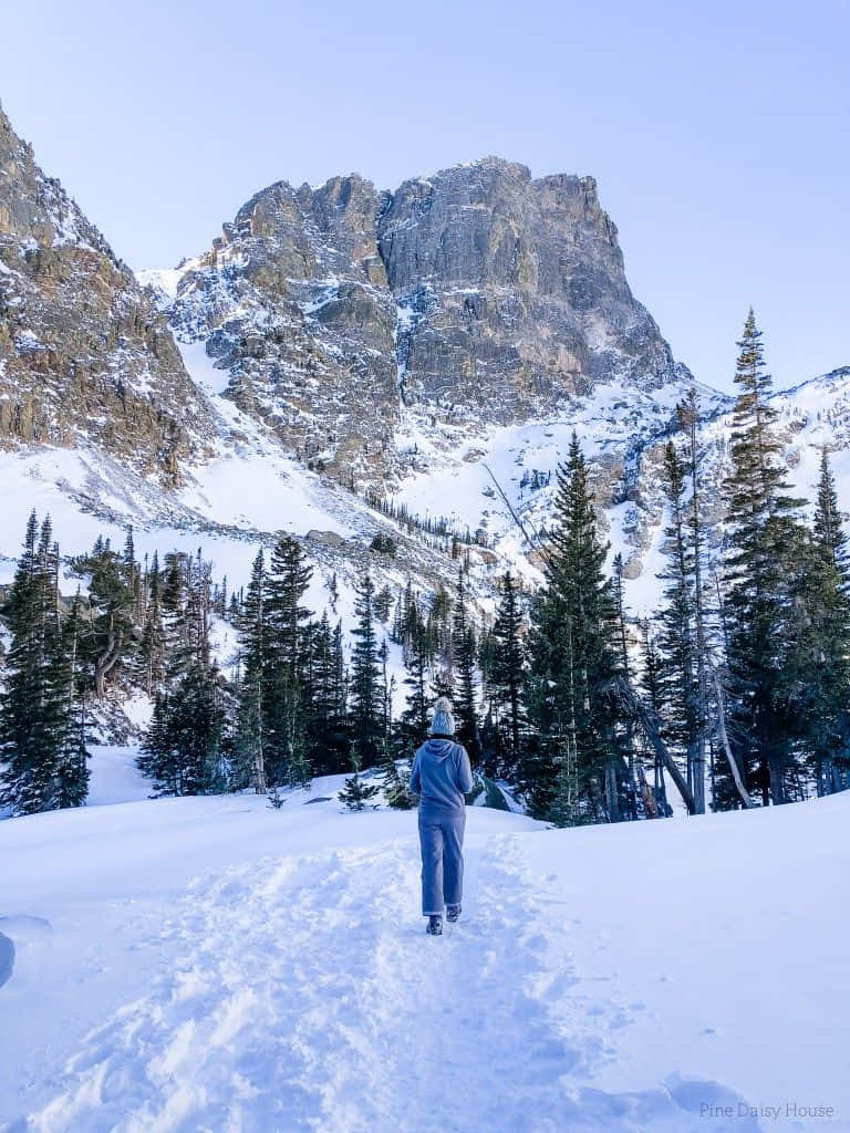 Adventurous Winter Hike in Snowy Mountains Duvar Kağıdı