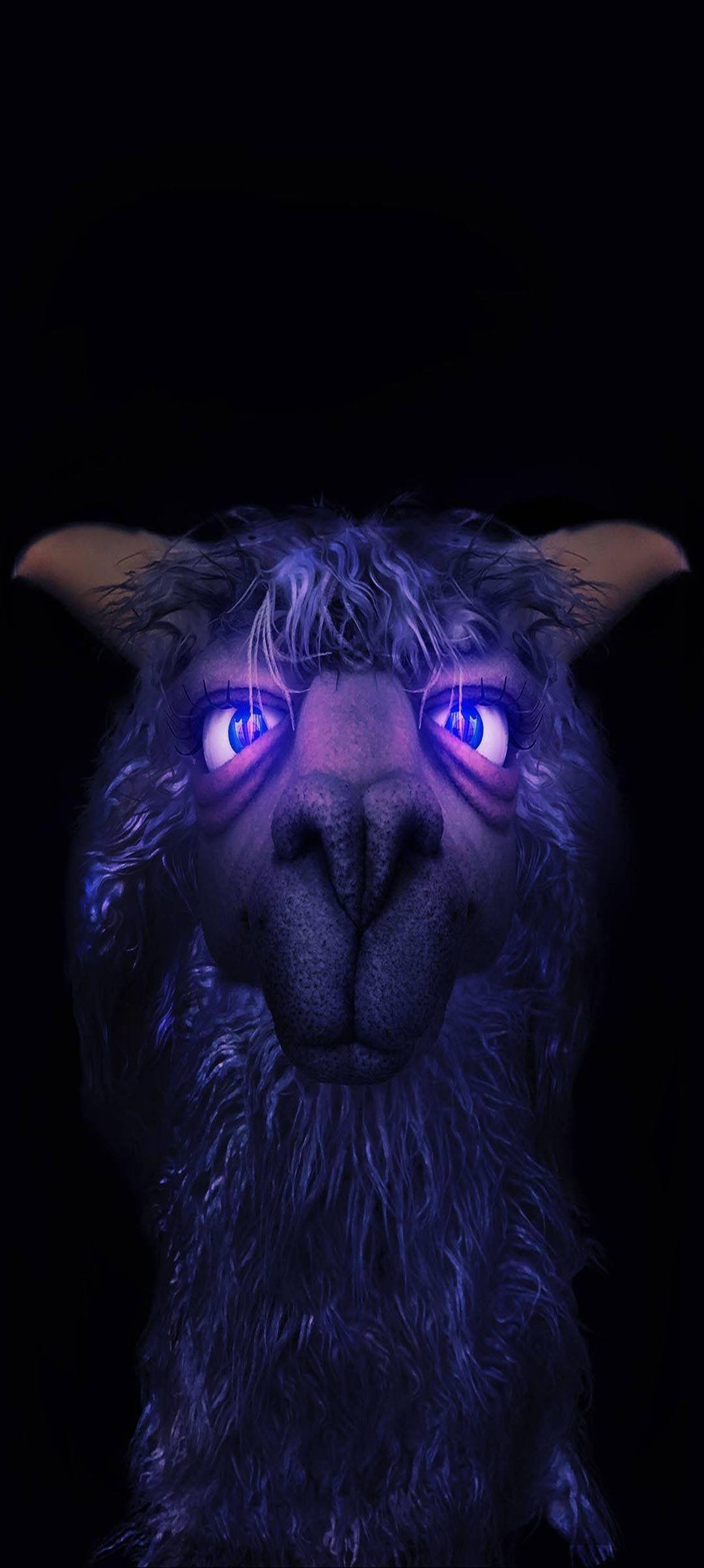 Aesthetic Boy Violet Llama Duvar Kağıdı