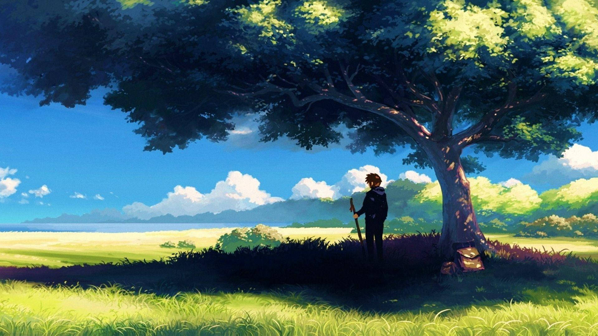 Ağaç Altındaki Adam Anime Manzarası Duvar Kağıdı