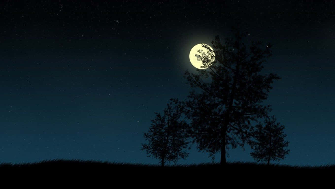 ağaçlar ve ay ile bir gece gökyüzü Duvar Kağıdı