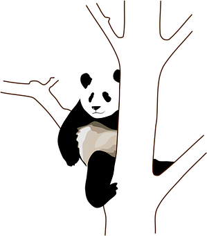 Ağacın Arkasından Bakan Panda Duvar Kağıdı