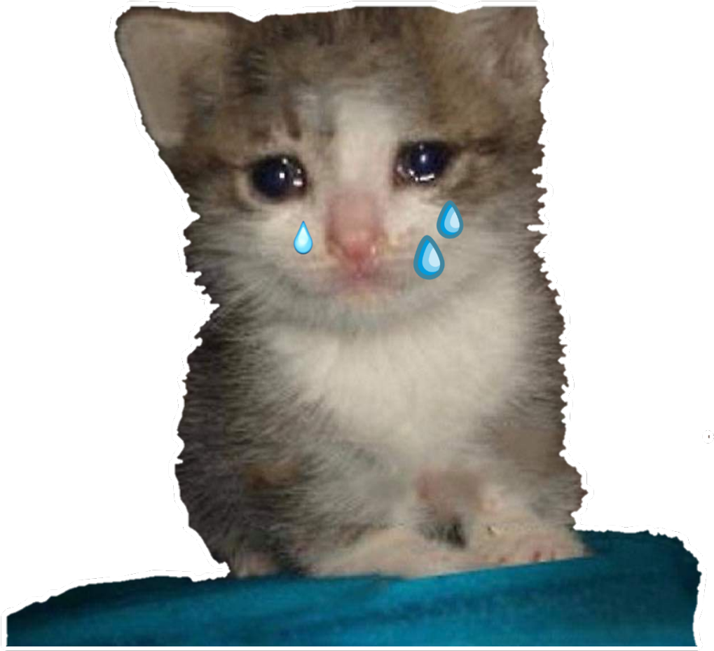 Ağlayan Kedi Memi.PNG Duvar Kağıdı