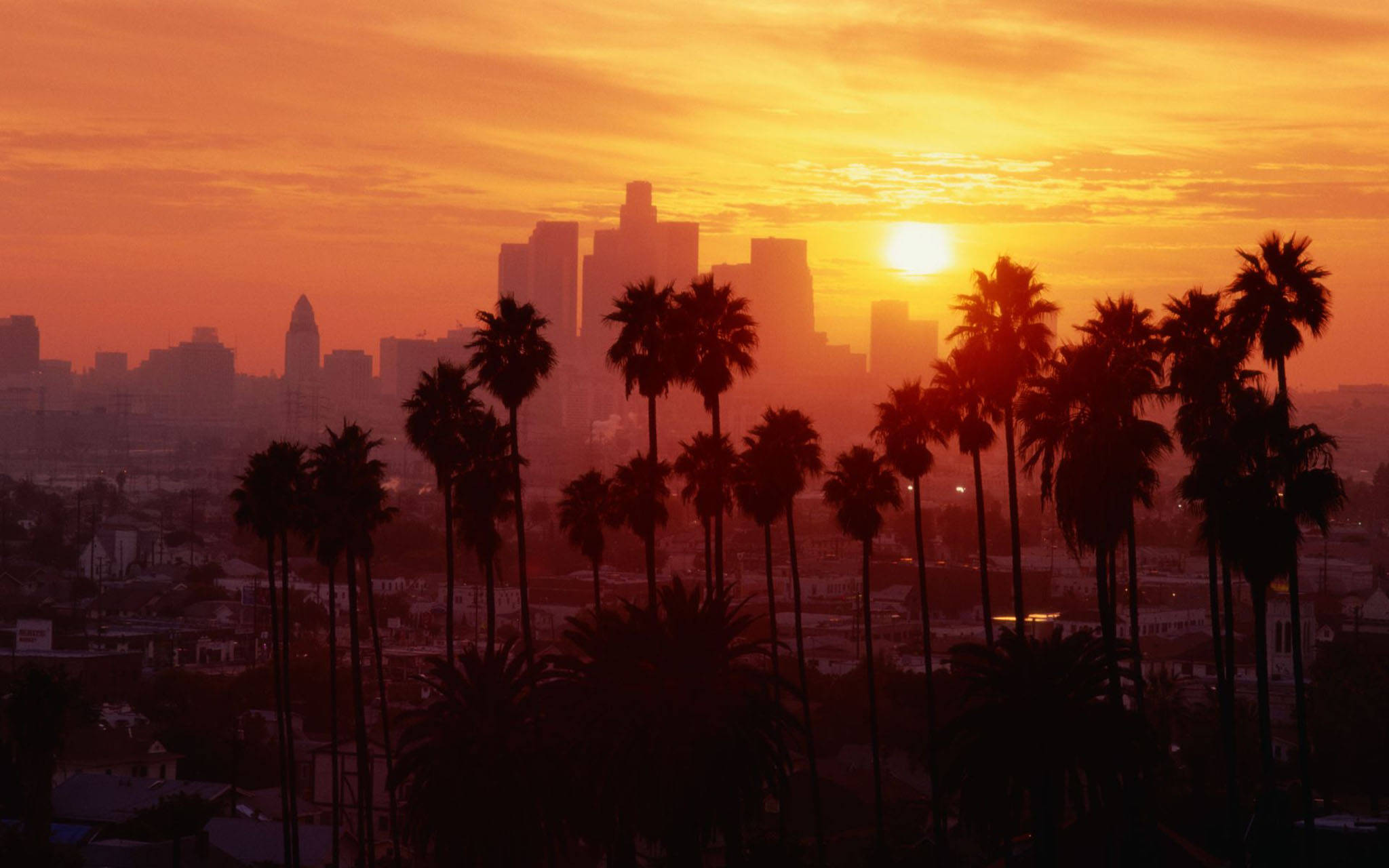 Altın Los Angeles Gün Batımı Duvar Kağıdı