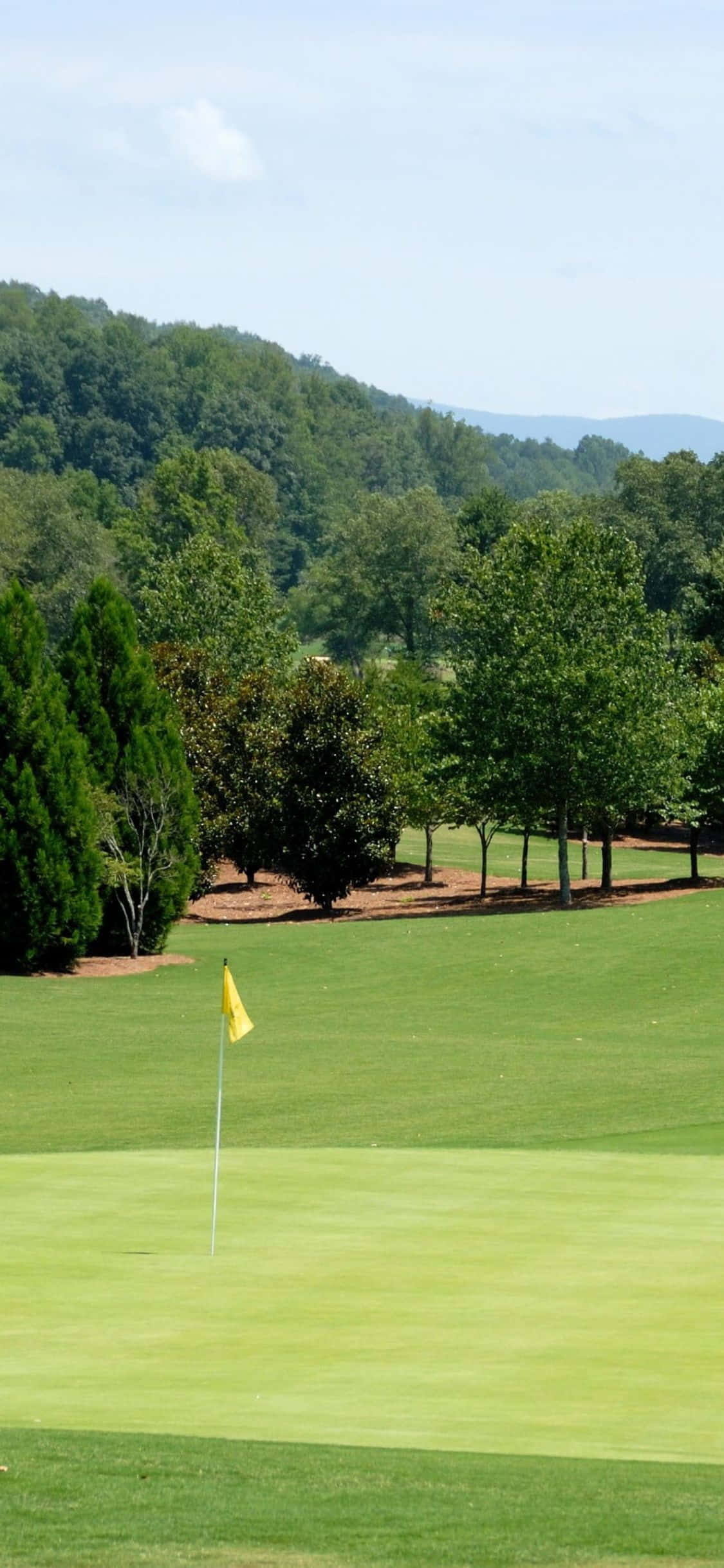 Altın rengi dalgalı tepelerden oluşan bir golf sahasının pastoral fonunda vuruş yapan bir golfçü. Duvar Kağıdı