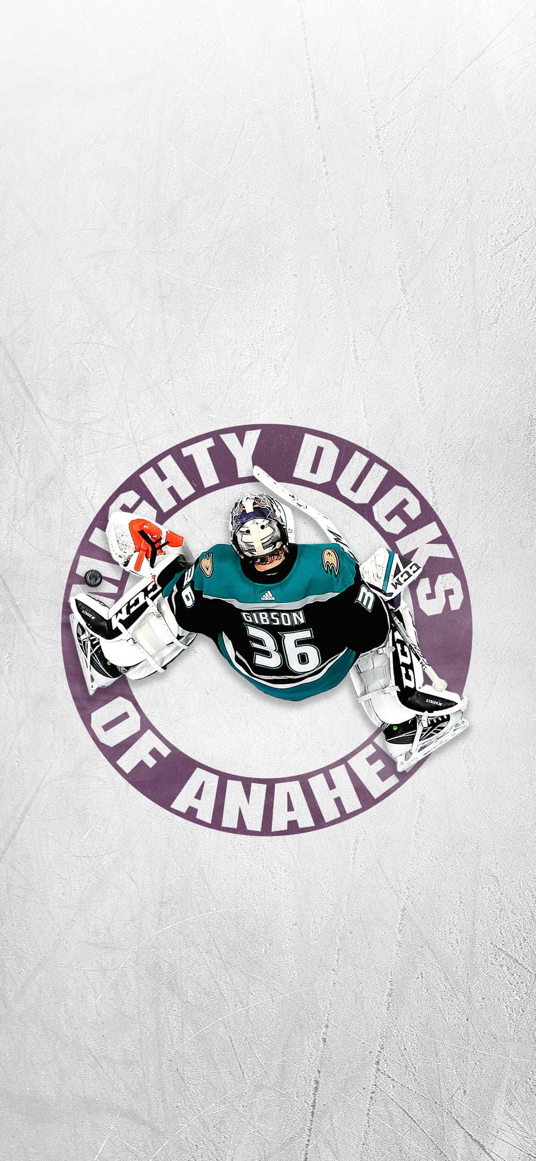 Anaheim Ducks ile Bir Zafer Daha Kutlanıyor Duvar Kağıdı