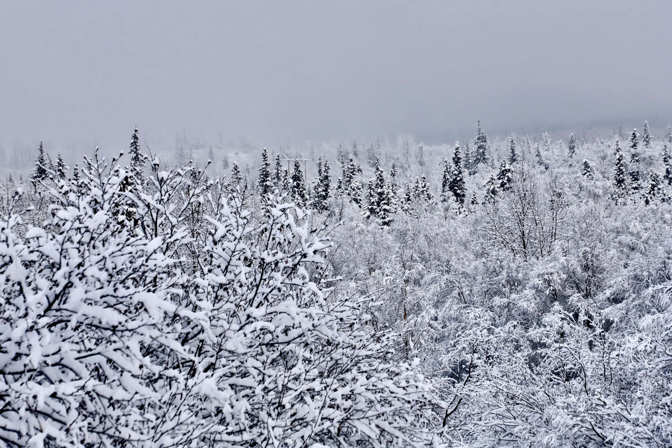 Anchorage, Alaska'nın Manzaralı Görüntüsü Duvar Kağıdı