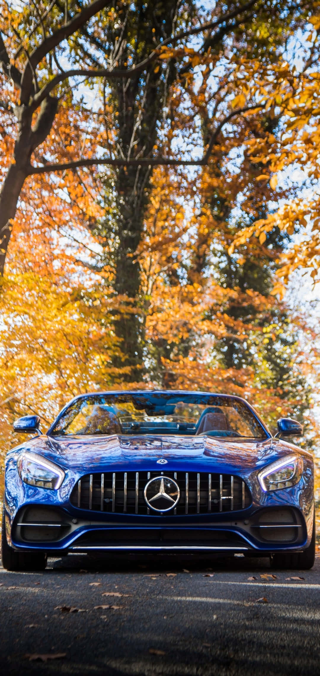 Android Amg Gt-r Sarı Ağaç Yaprakları Arkaplan Duvar Kağıdı