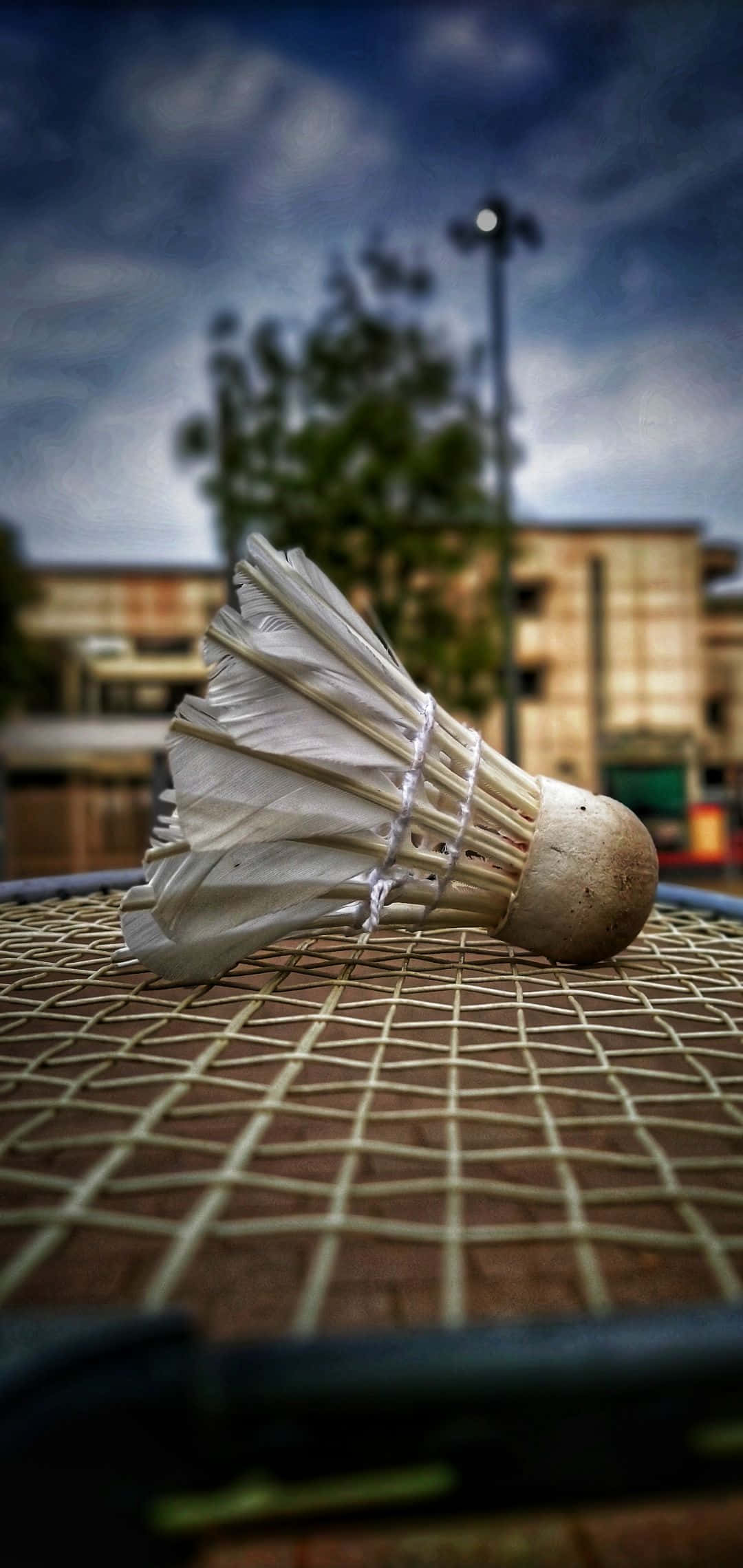 Android Badminton'un Adrenalin Dolu Dünyasına Dalın Duvar Kağıdı