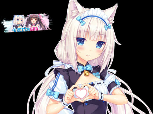 Anime Kedi Kızı Kalp Hareketi Duvar Kağıdı