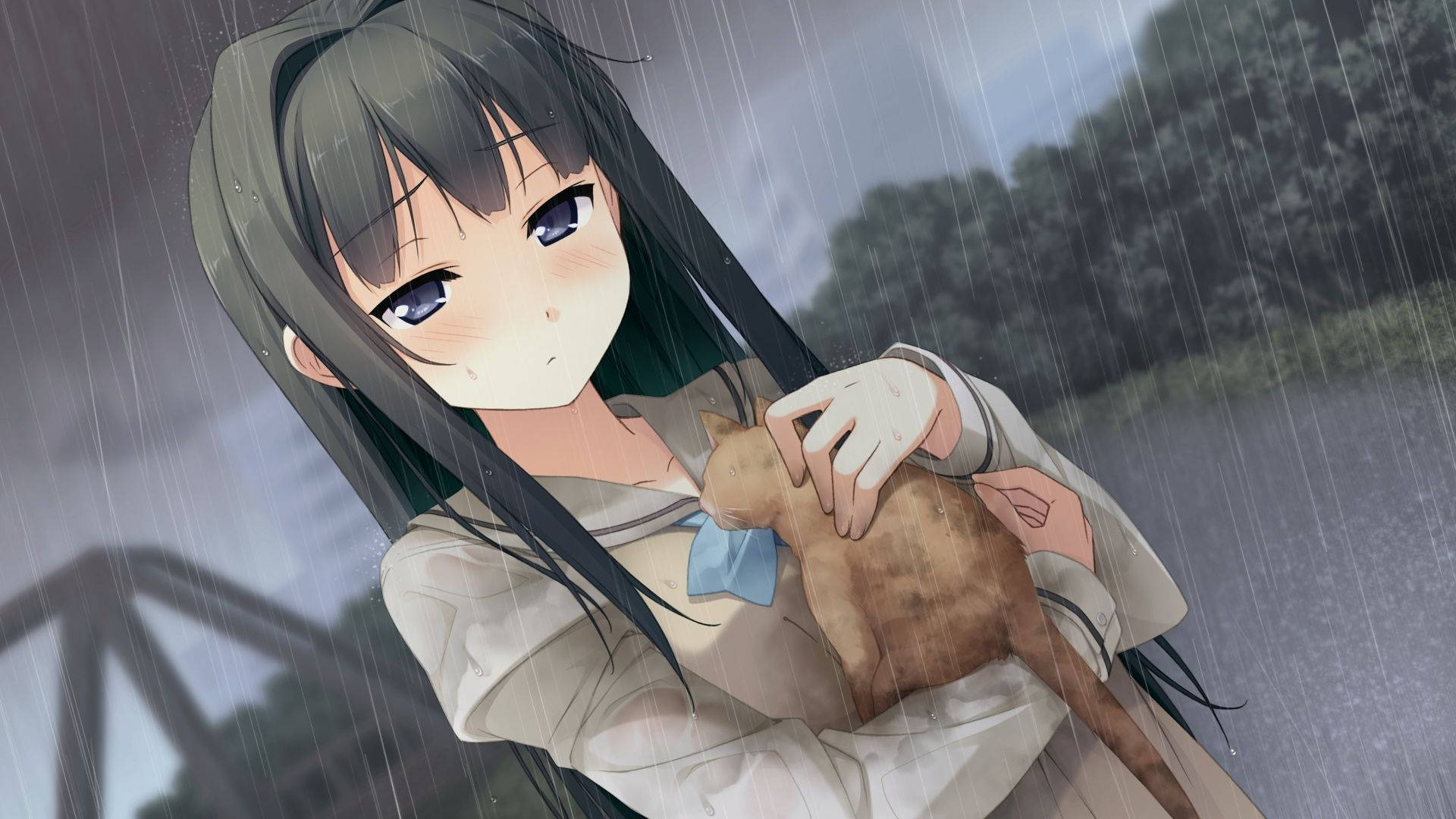 Anime Kızı Kucağında Kedi ile Nightcore Duvar Kağıdı