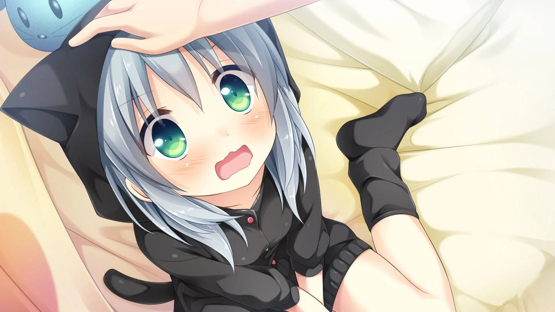 Anime Kızı Kapüşonlu Neko Duvar Kağıdı