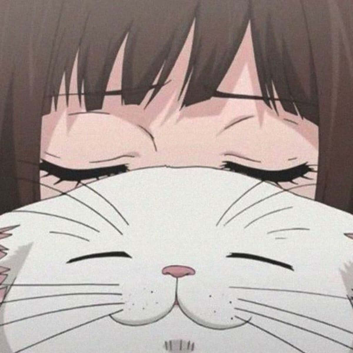 Anime Kızı Profil Resmi Kedi Duvar Kağıdı