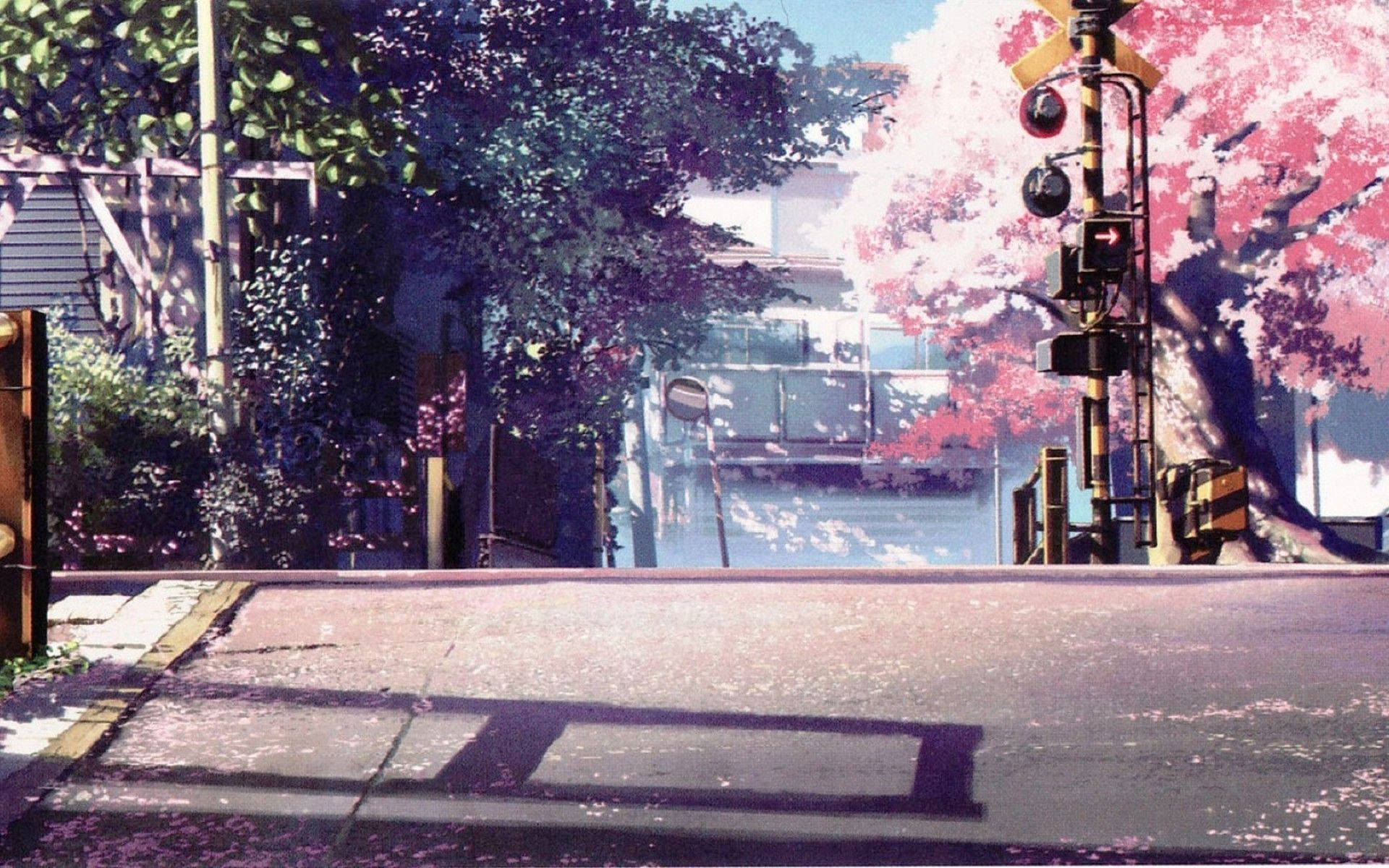 Anime Manzara Kiraz Çiçekleri Duvar Kağıdı