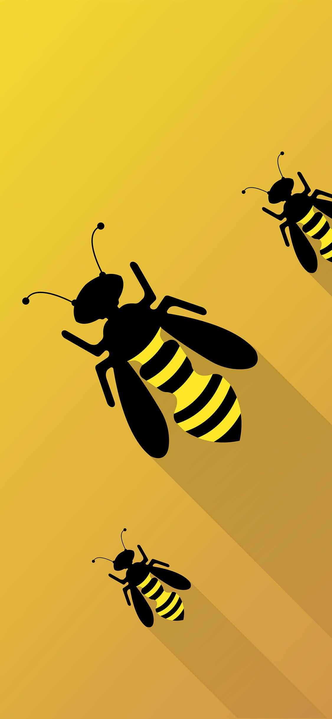 Arı iPhone Arılar Grafik Sanatı Duvar Kağıdı