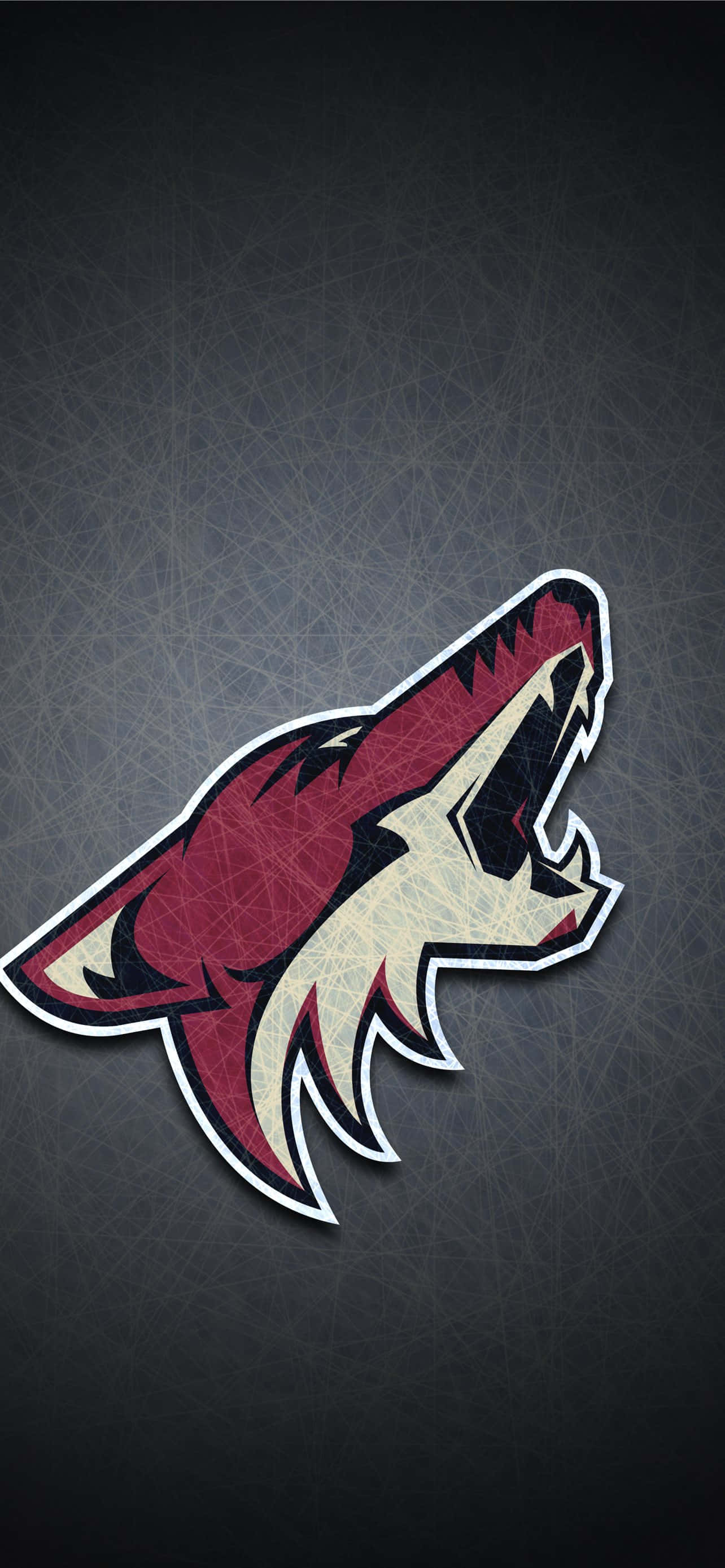 arizona coyotes logo duvar kağıdı