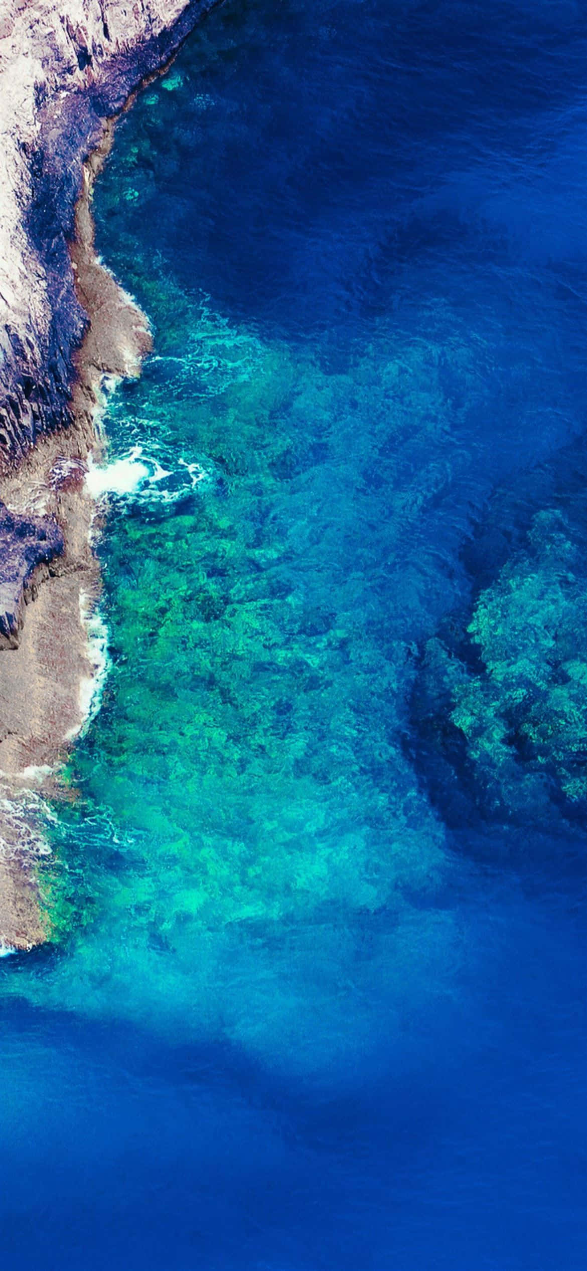 Arkasında yemyeşil bir orman bulunan güzel bir plajın büyüleyici manzarası Duvar Kağıdı