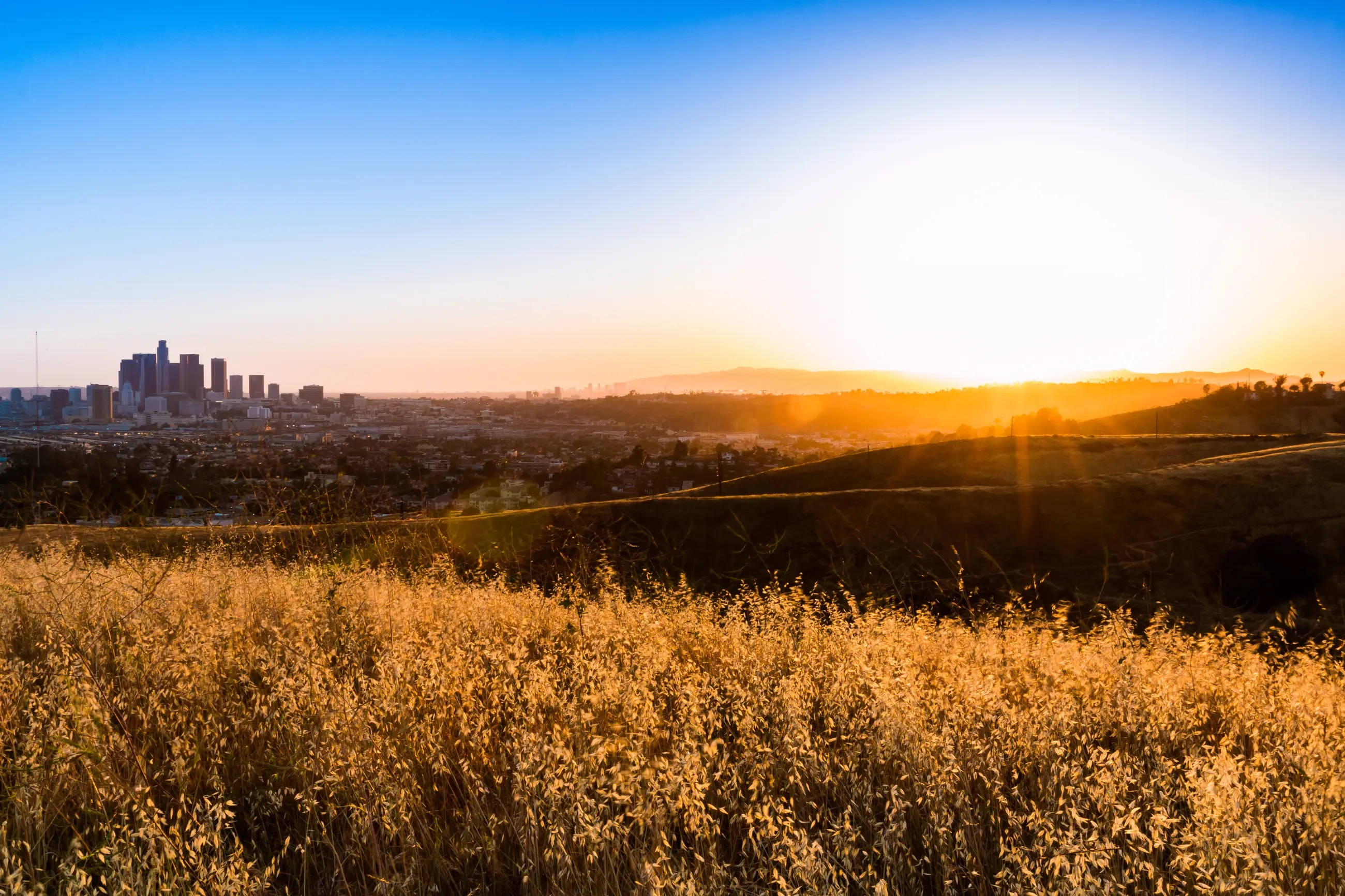 Ascot Hills Los Angeles Gün Batımı Duvar Kağıdı