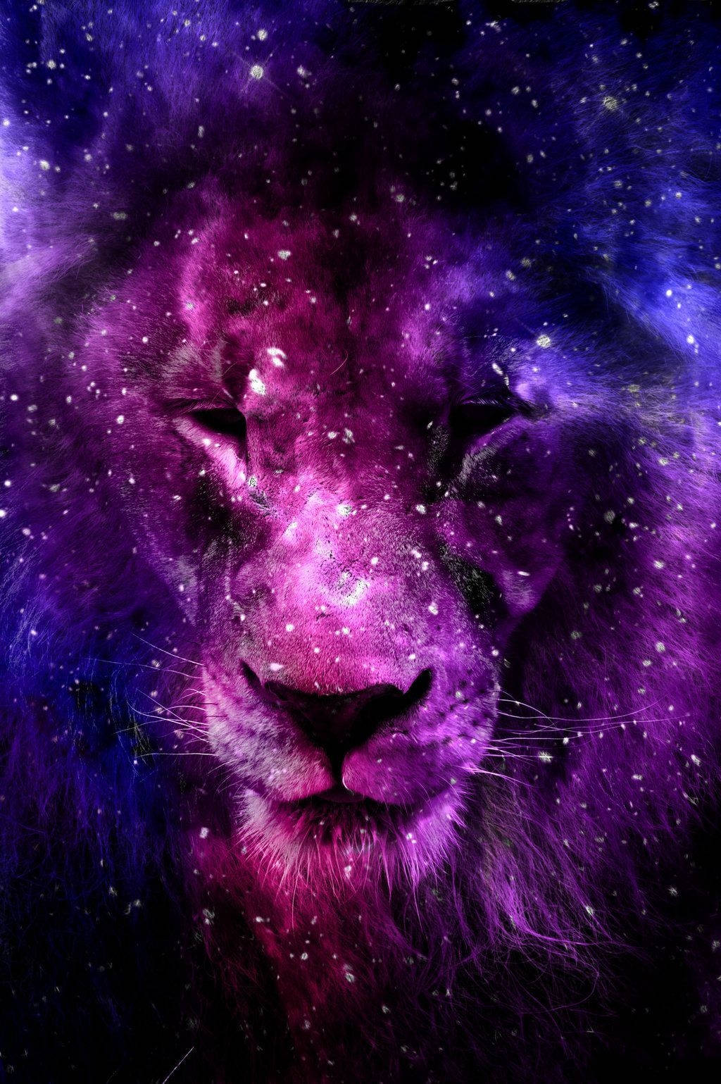 Aslan Galaksi Mor Gece Duvar Kağıdı