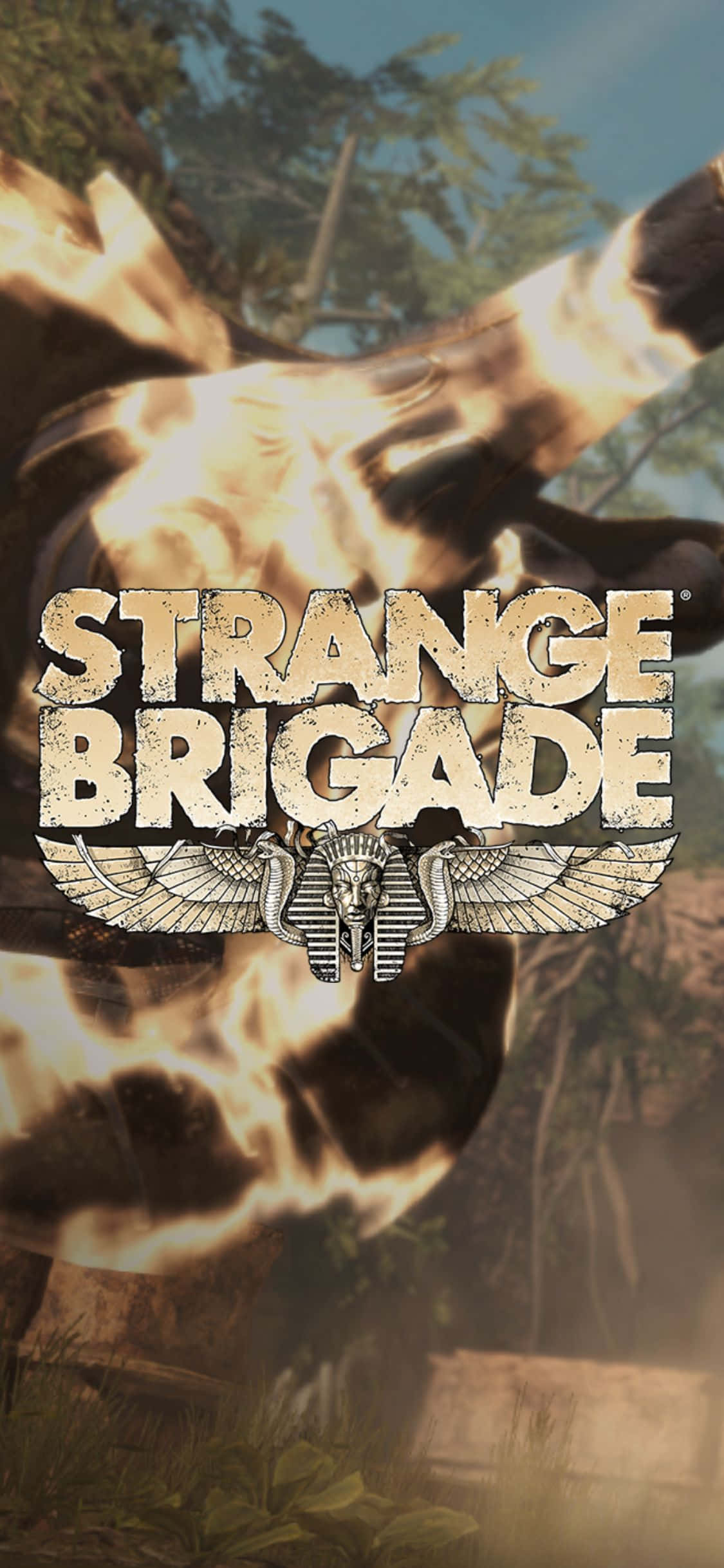 Ateş Silahı Şişesi iPhone X Strange Brigade Arkaplan Duvar Kağıdı