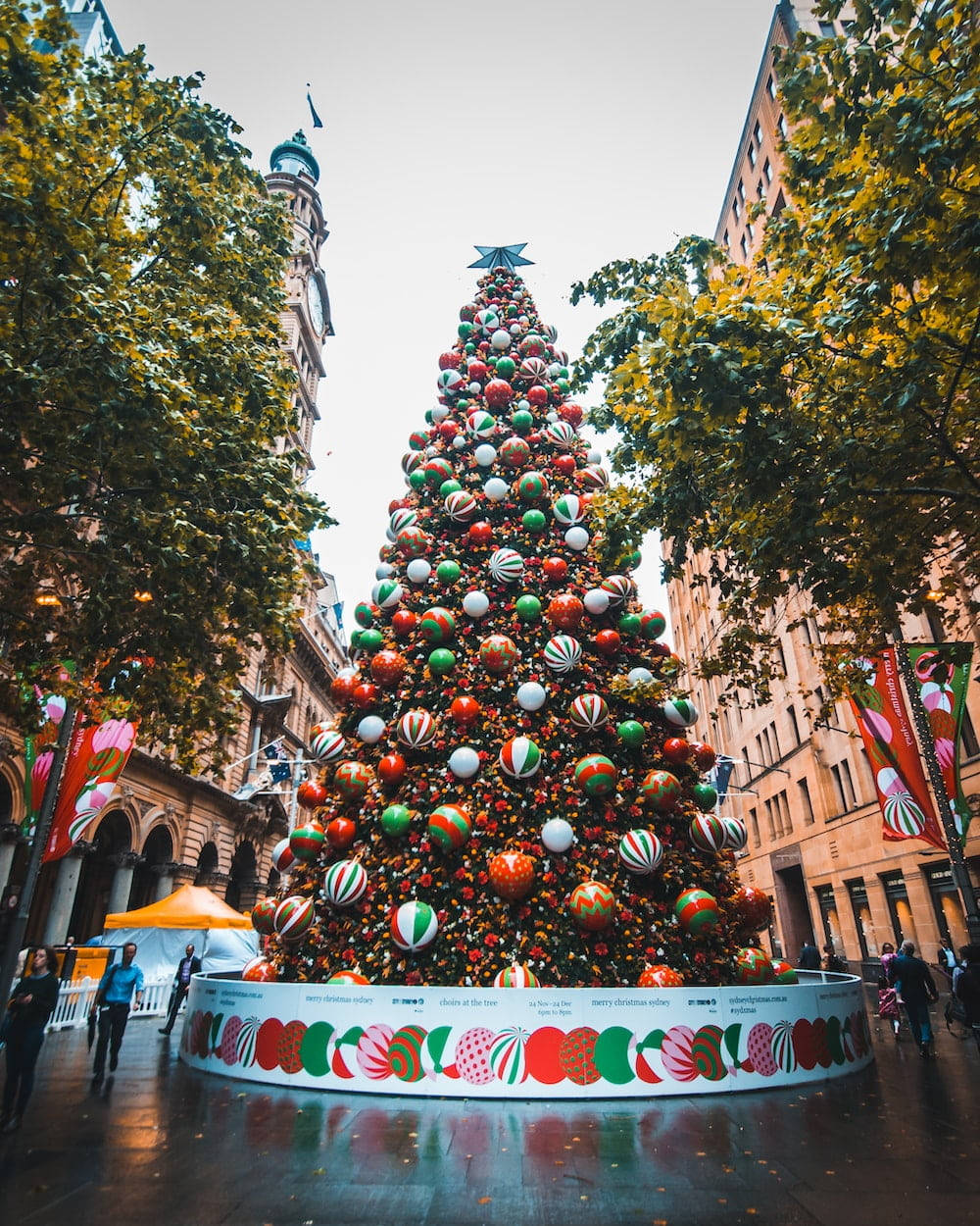 Avustralya Noel Renkli Ağacı Duvar Kağıdı