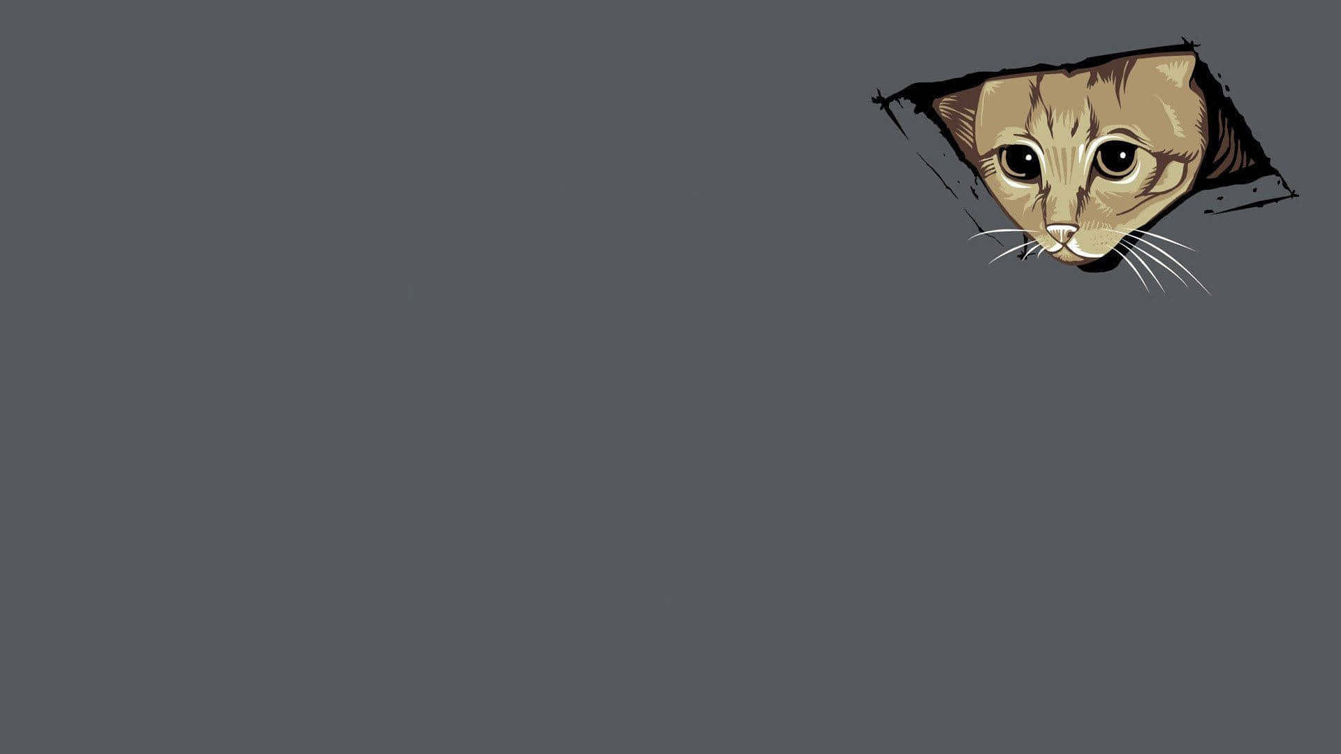 Bakan Kedi Meme Dizüstü Bilgisayar Duvar Kağıdı