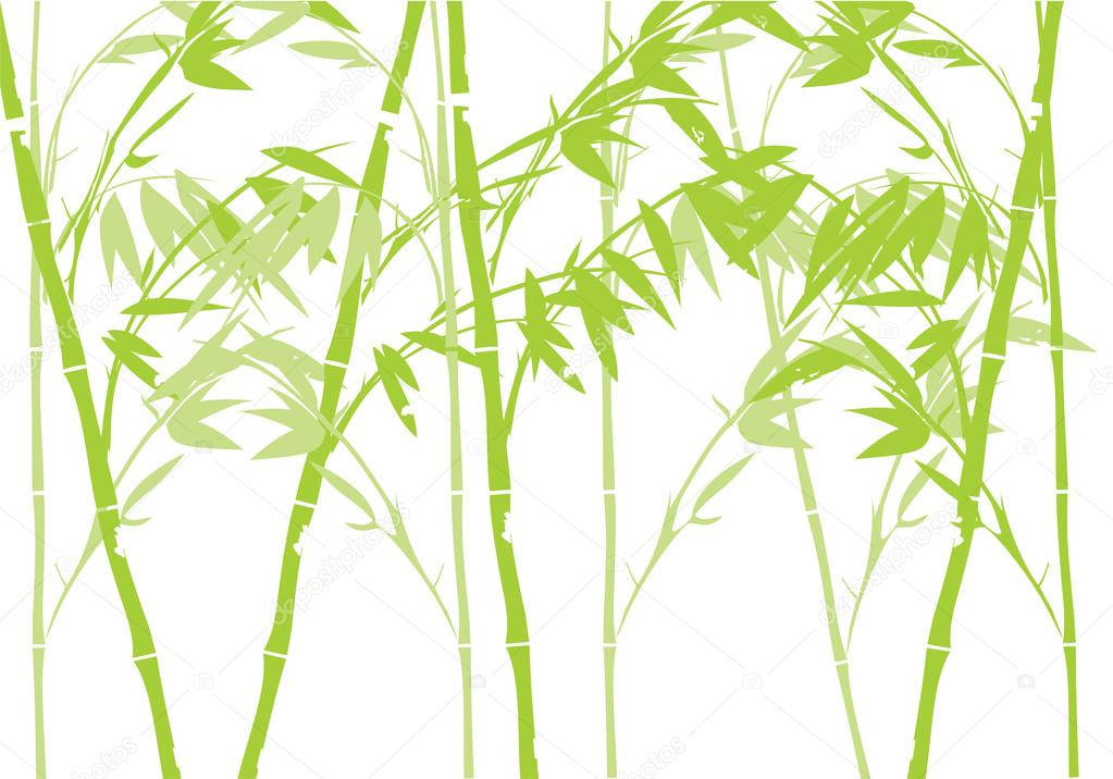 Bambu 4K Soyut Sanat Duvar Kağıdı