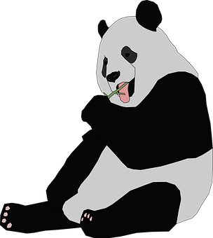 Bambu Yiyen Panda Duvar Kağıdı