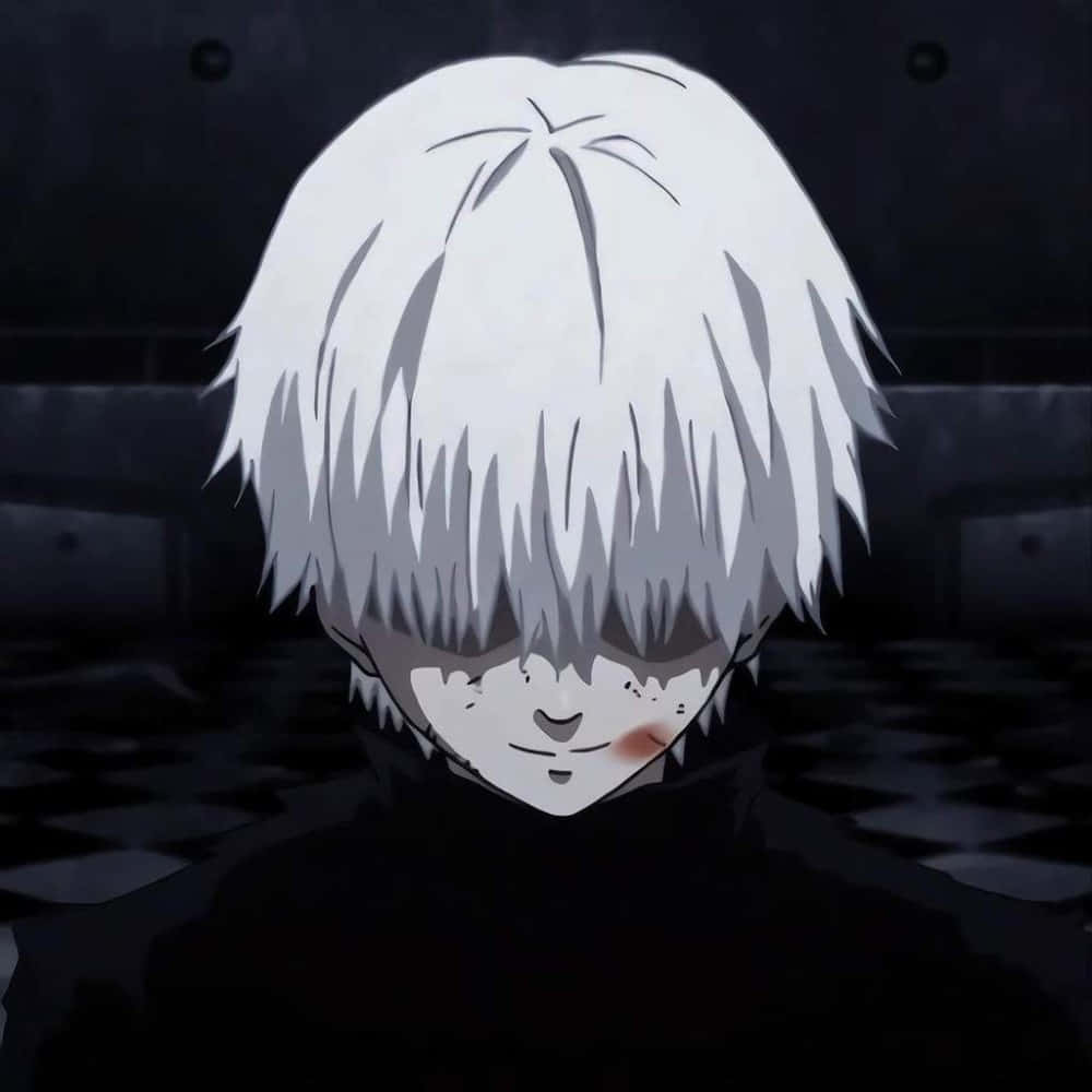 Başı Eğik Kaneki PFP Duvar Kağıdı