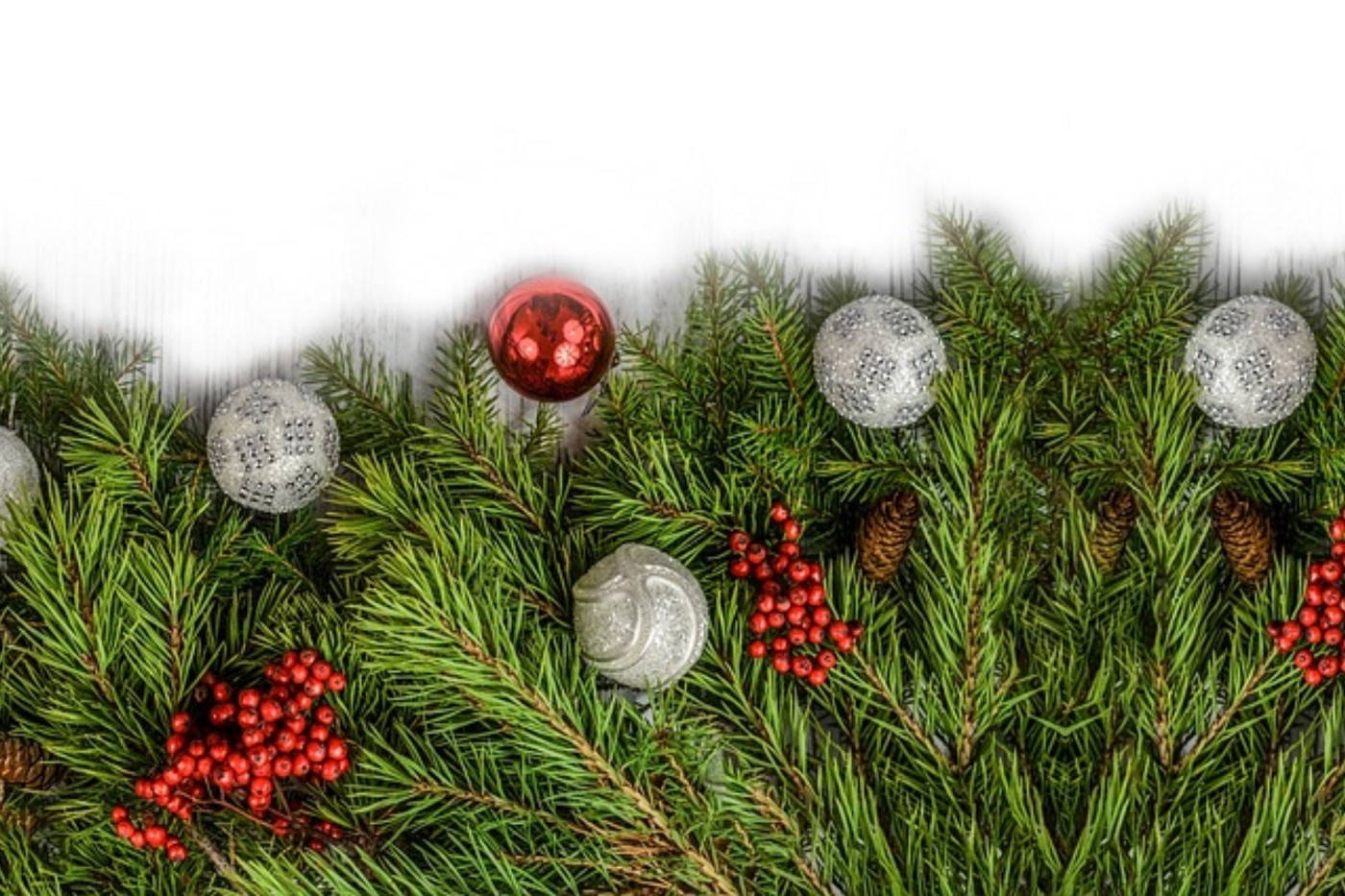 Basit Noel Topları Çam Dalında Duvar Kağıdı