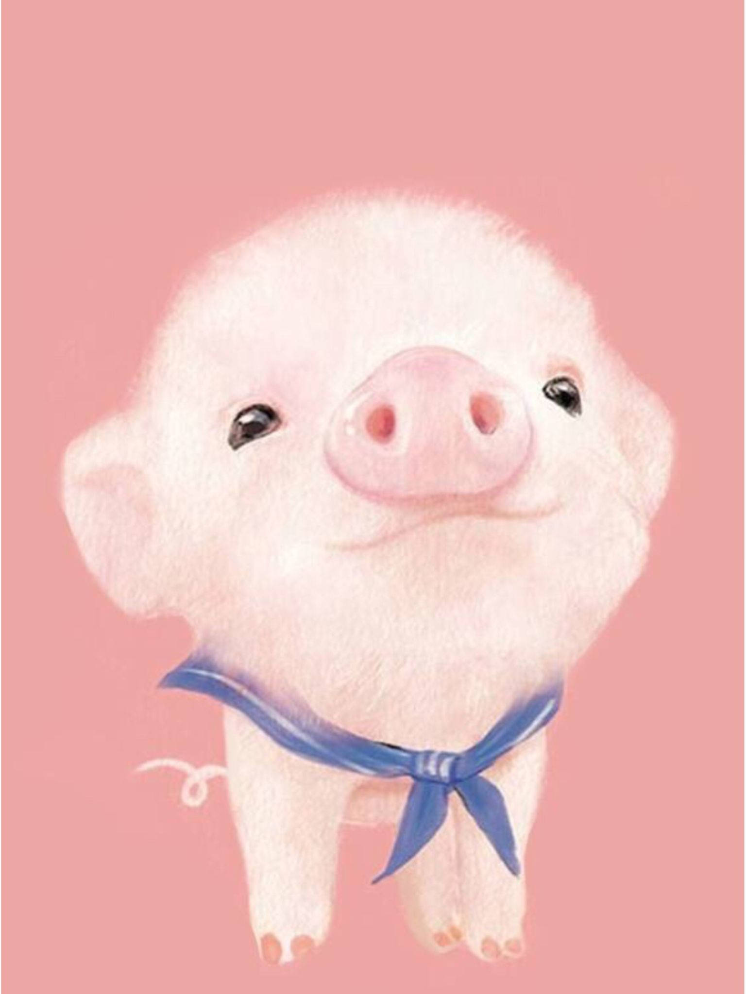 Bebek Domuz Sanatı Kawaii iPad Duvar Kağıdı