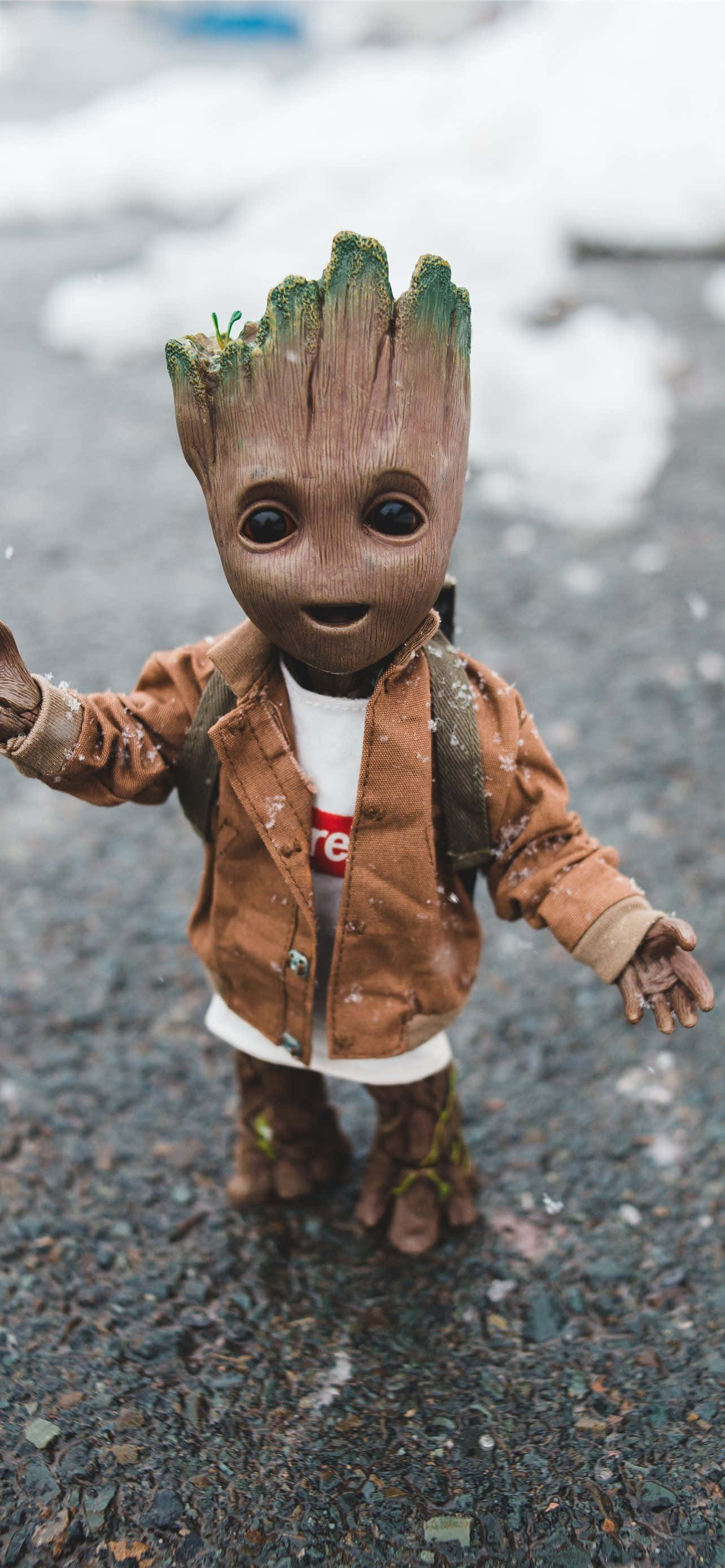 Bebek Groot Profil Resmi Duvar Kağıdı