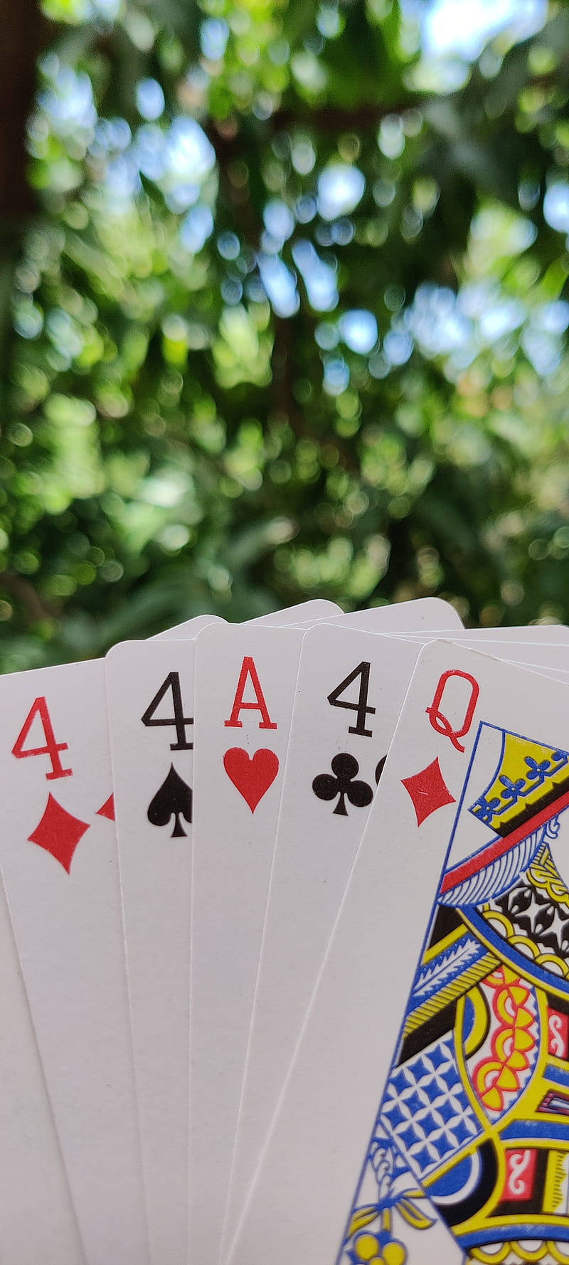 Beşli Rummy Oyun Kartı Seti Duvar Kağıdı