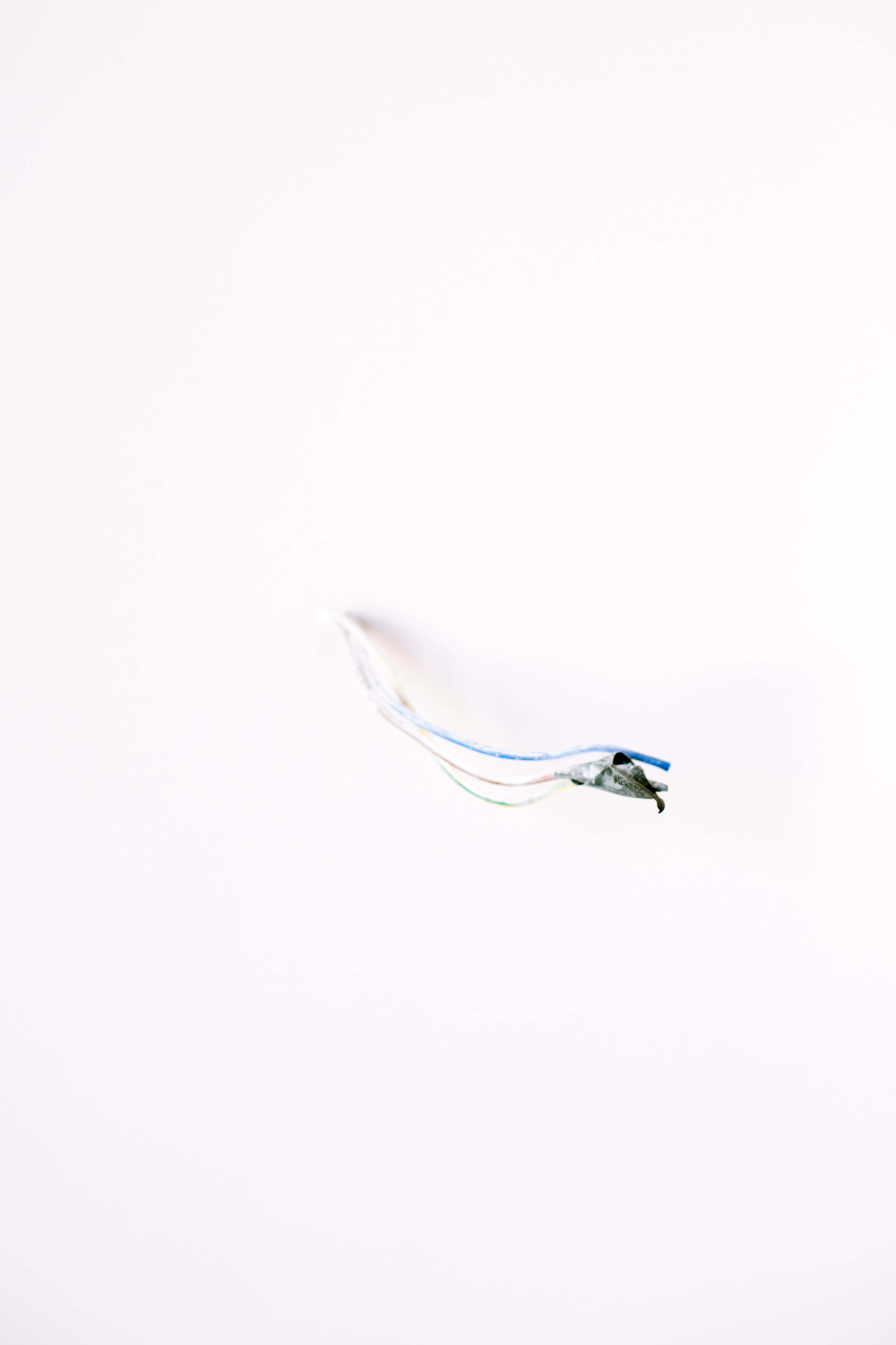 Beyaz Desenler Estetiği Duvar Kağıdı