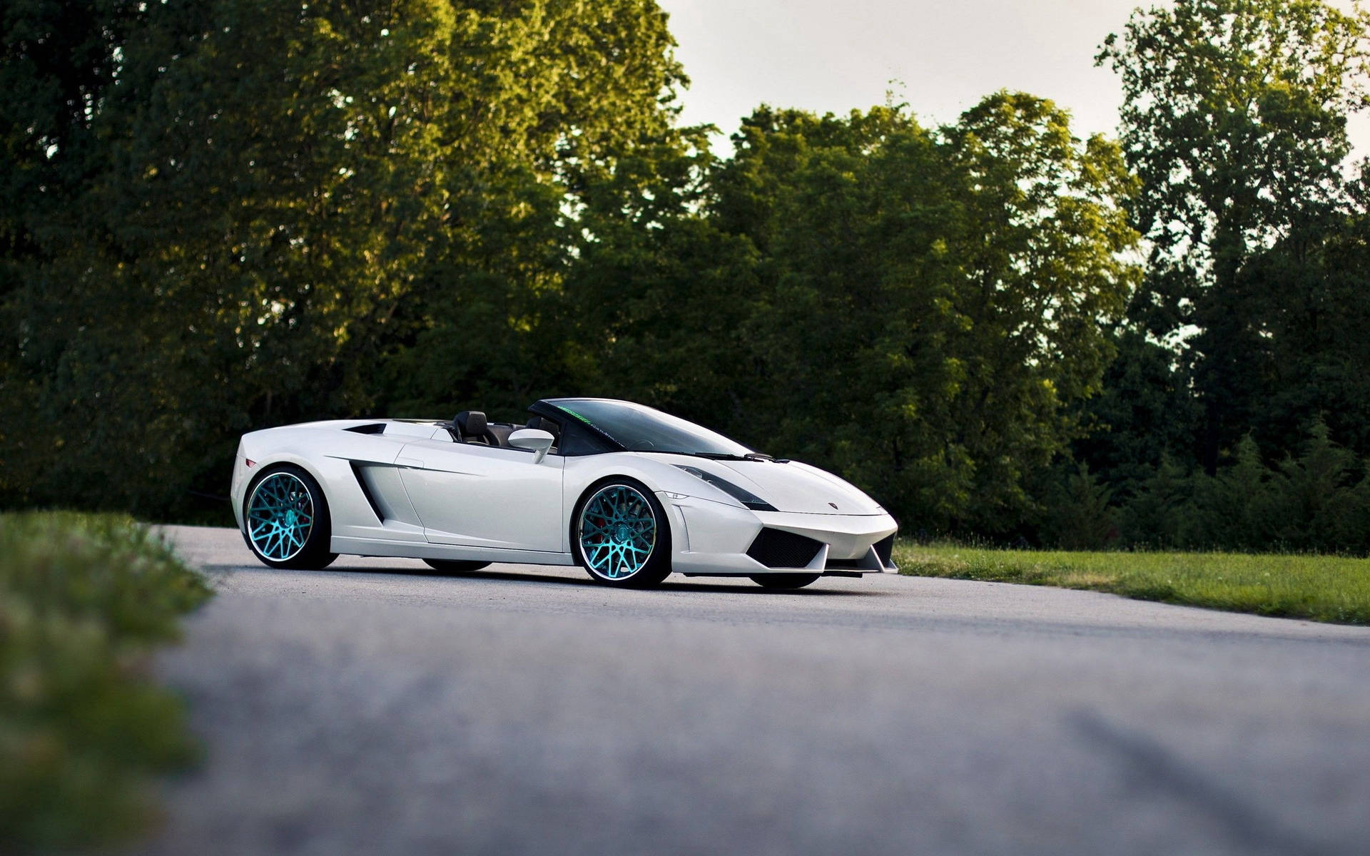 Beyaz Lamborghini Gallardo Spyder üstü açık duvar kağıdı.
