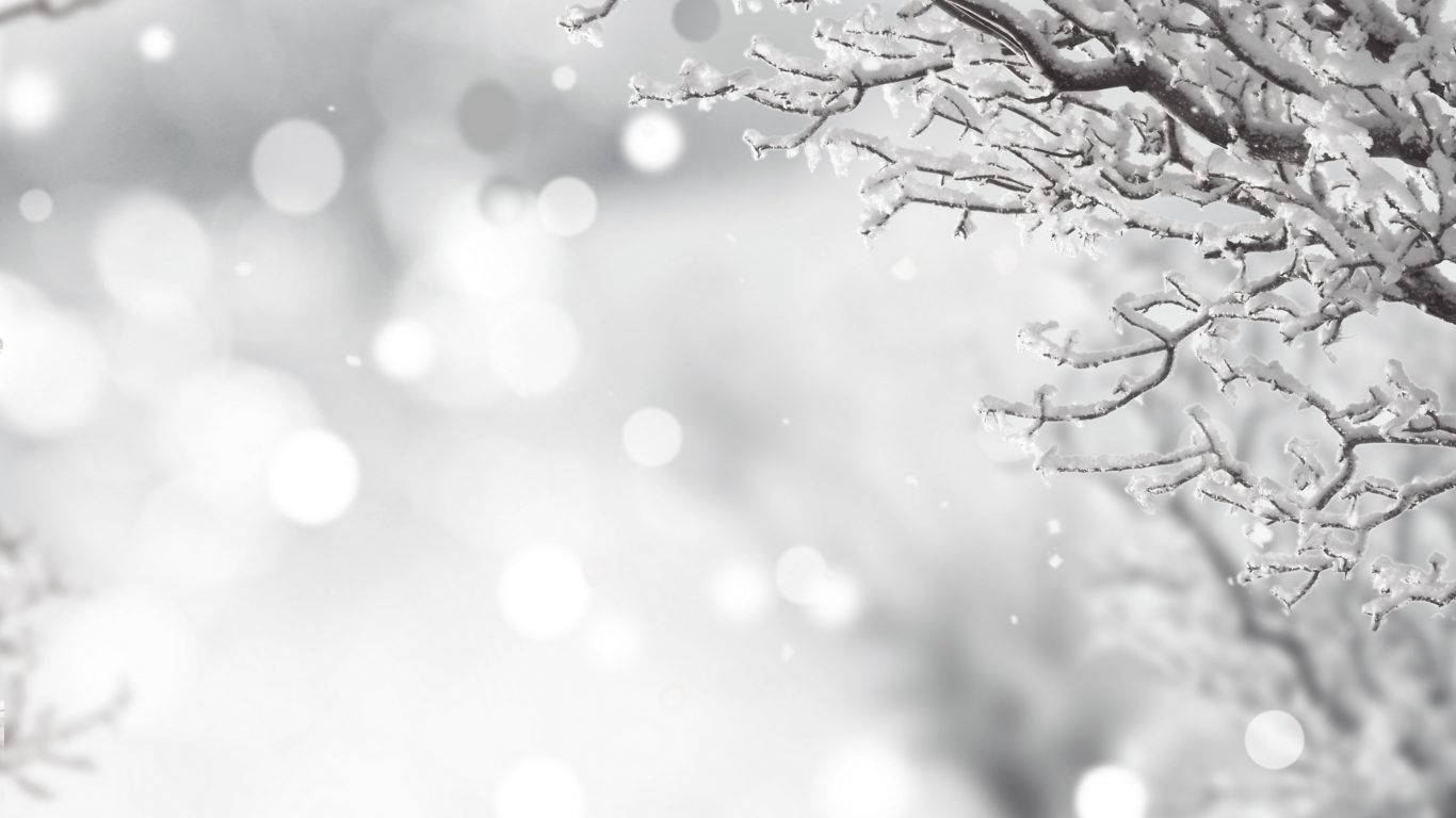 Beyaz Noel Kış Manzarası Duvar Kağıdı